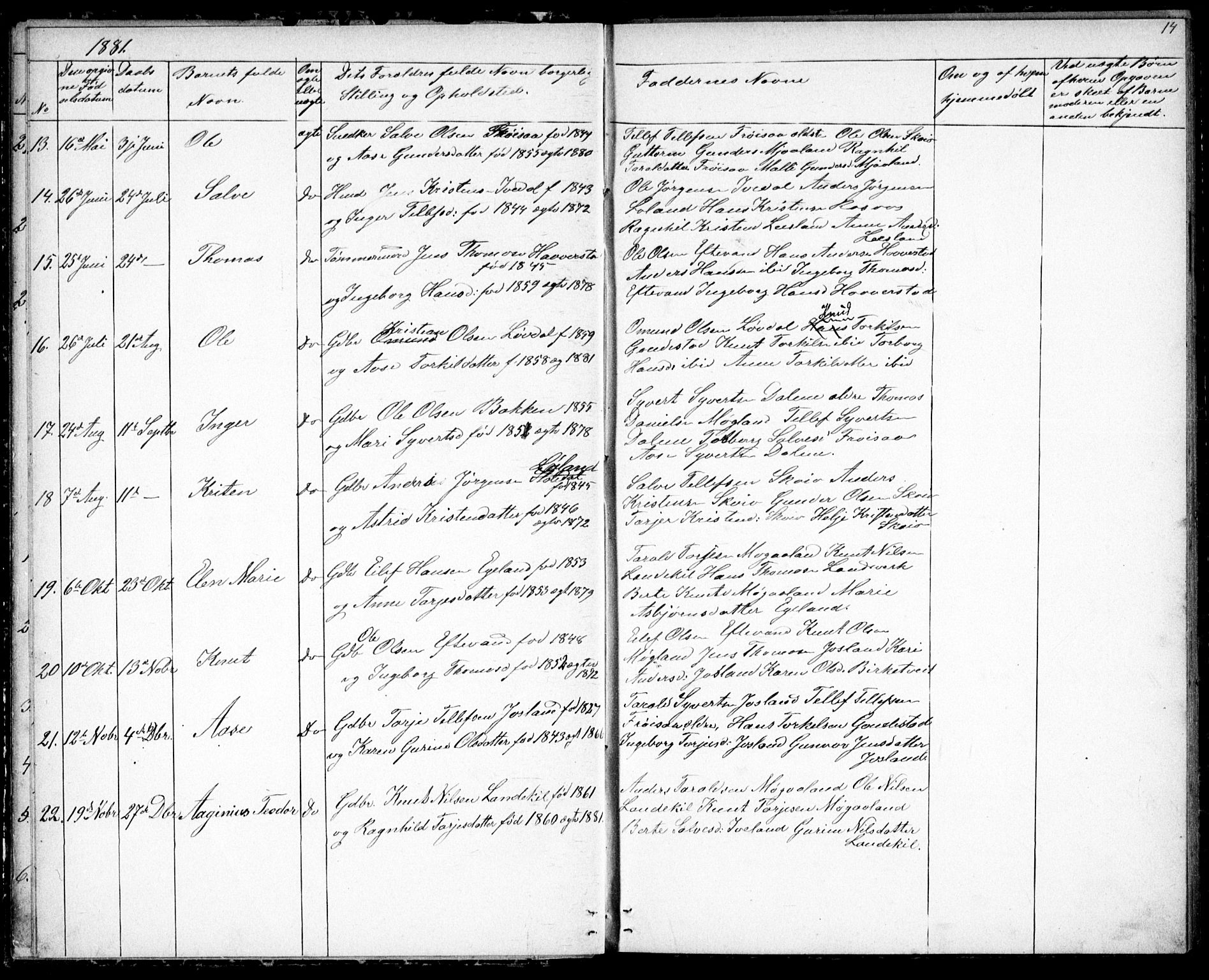 Evje sokneprestkontor, SAK/1111-0008/F/Fb/Fbc/L0003: Parish register (copy) no. B 3, 1876-1889, p. 14