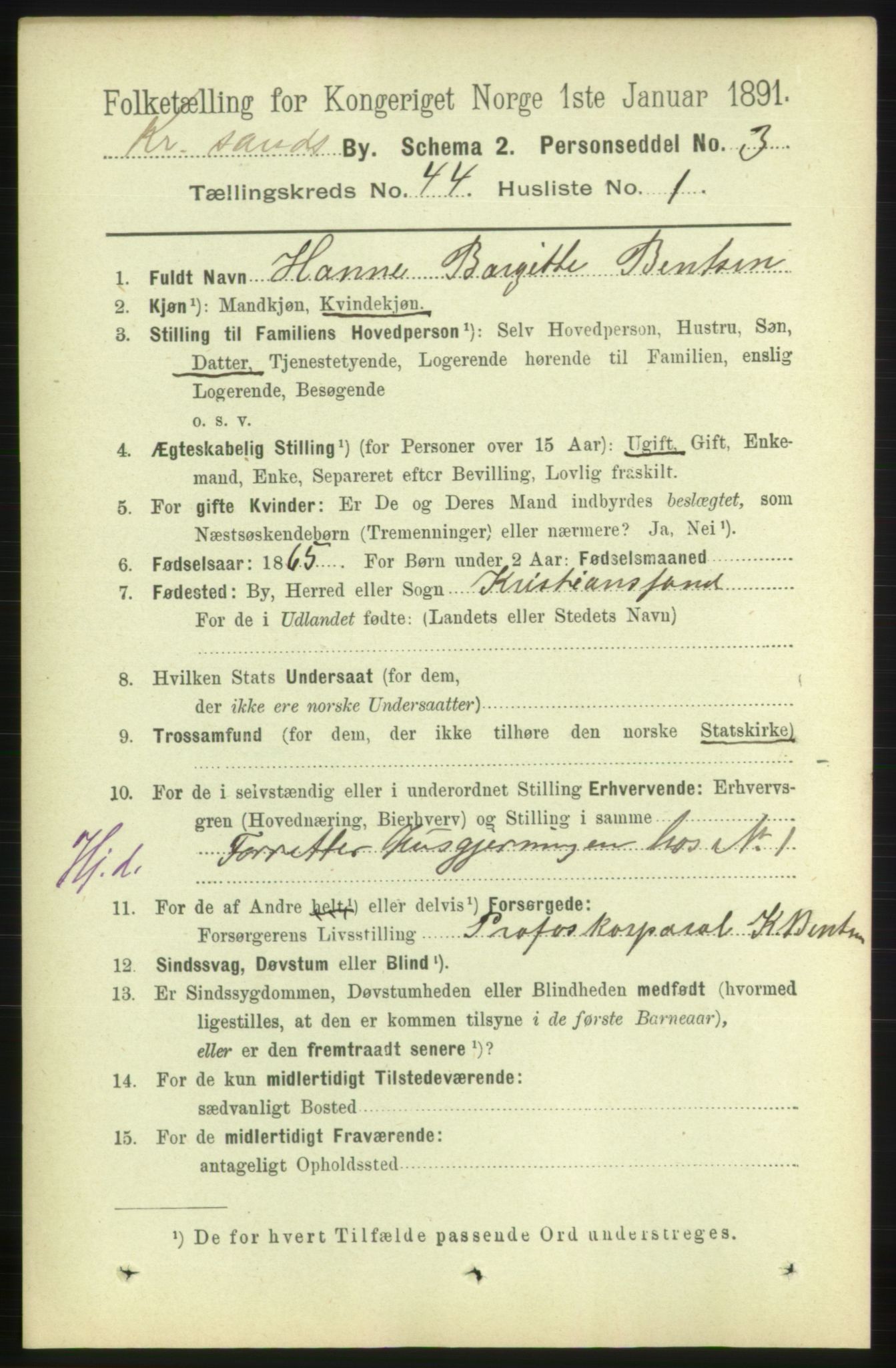 RA, 1891 census for 1001 Kristiansand, 1891, p. 13315