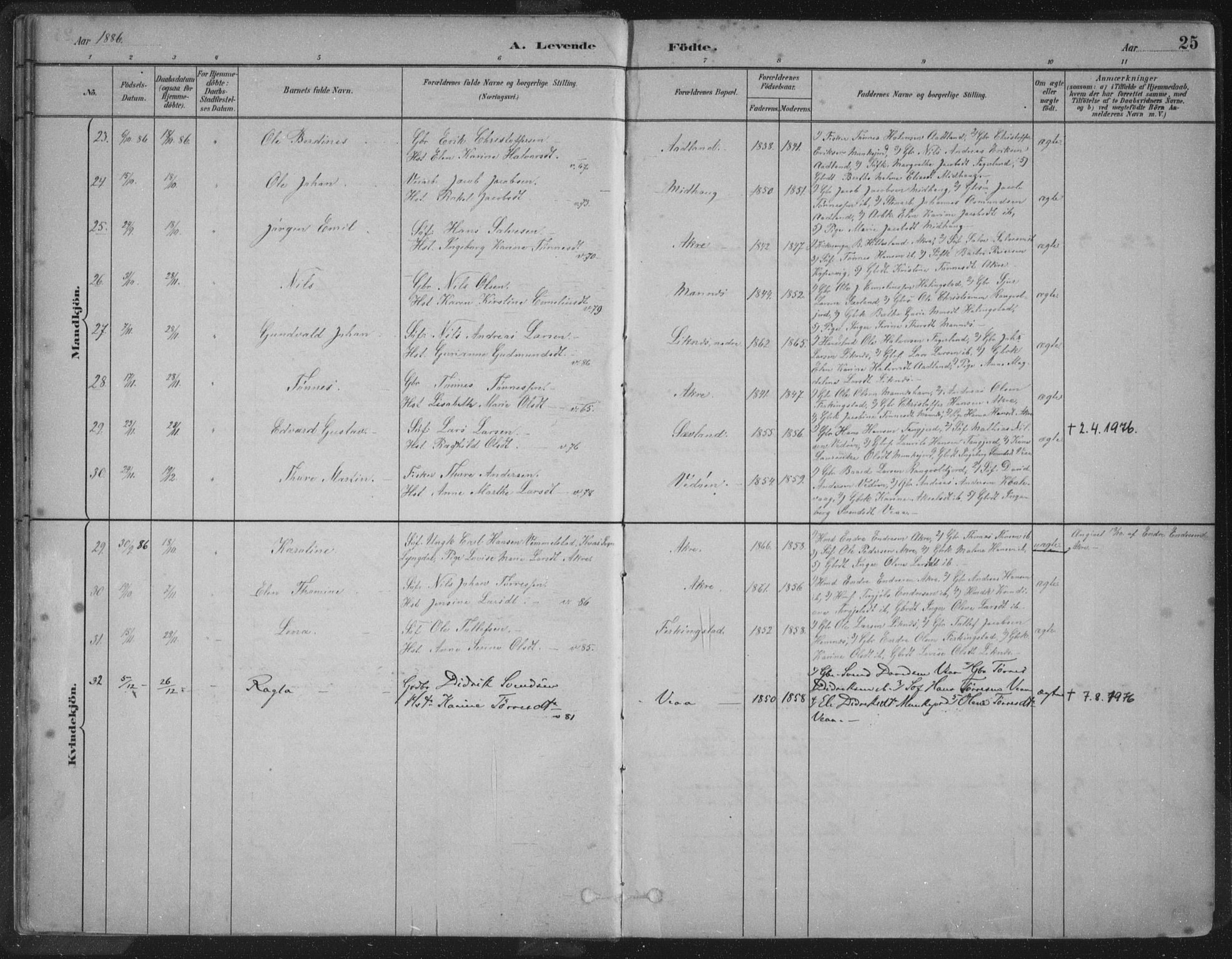 Kopervik sokneprestkontor, SAST/A-101850/H/Ha/Haa/L0004: Parish register (official) no. A 4, 1882-1905, p. 25