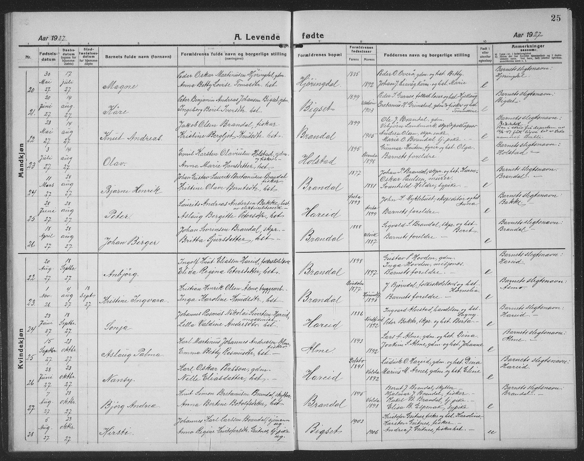 Ministerialprotokoller, klokkerbøker og fødselsregistre - Møre og Romsdal, AV/SAT-A-1454/510/L0127: Parish register (copy) no. 510C04, 1923-1939, p. 25