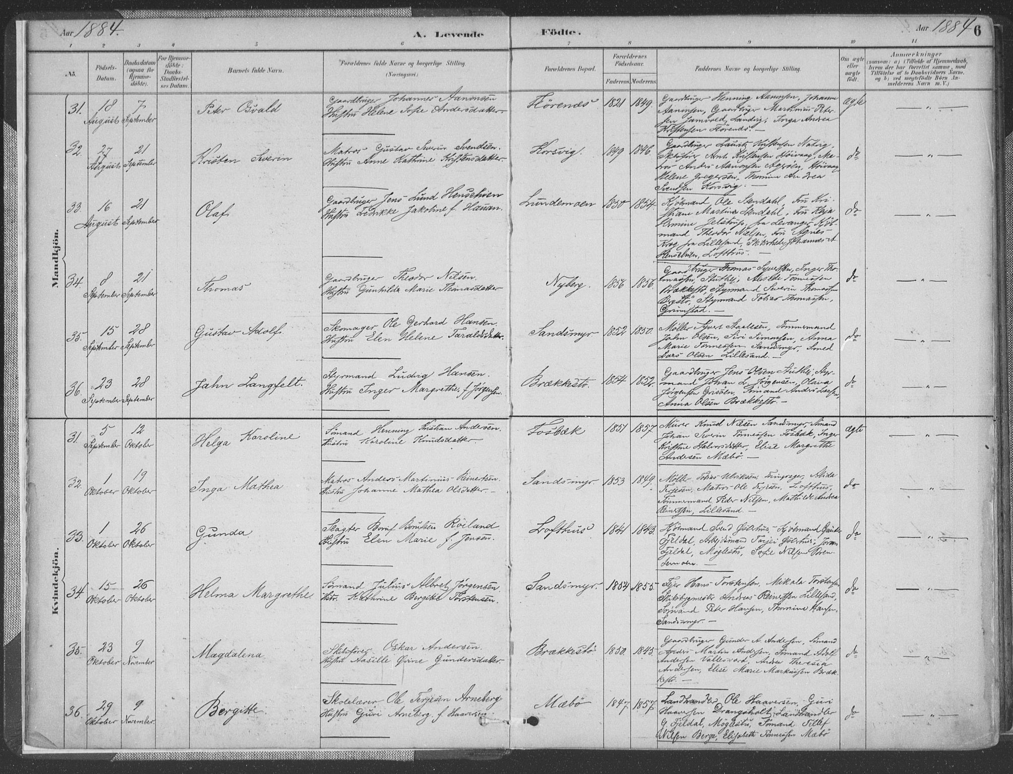 Vestre Moland sokneprestkontor, AV/SAK-1111-0046/F/Fa/Fab/L0009: Parish register (official) no. A 9, 1884-1899, p. 6