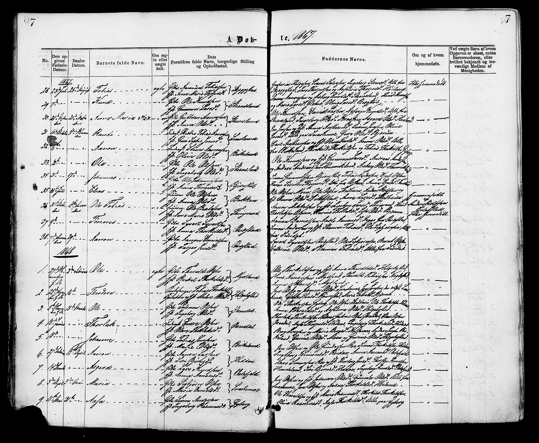 Hægebostad sokneprestkontor, SAK/1111-0024/F/Fa/Faa/L0005: Parish register (official) no. A 5, 1864-1886, p. 7