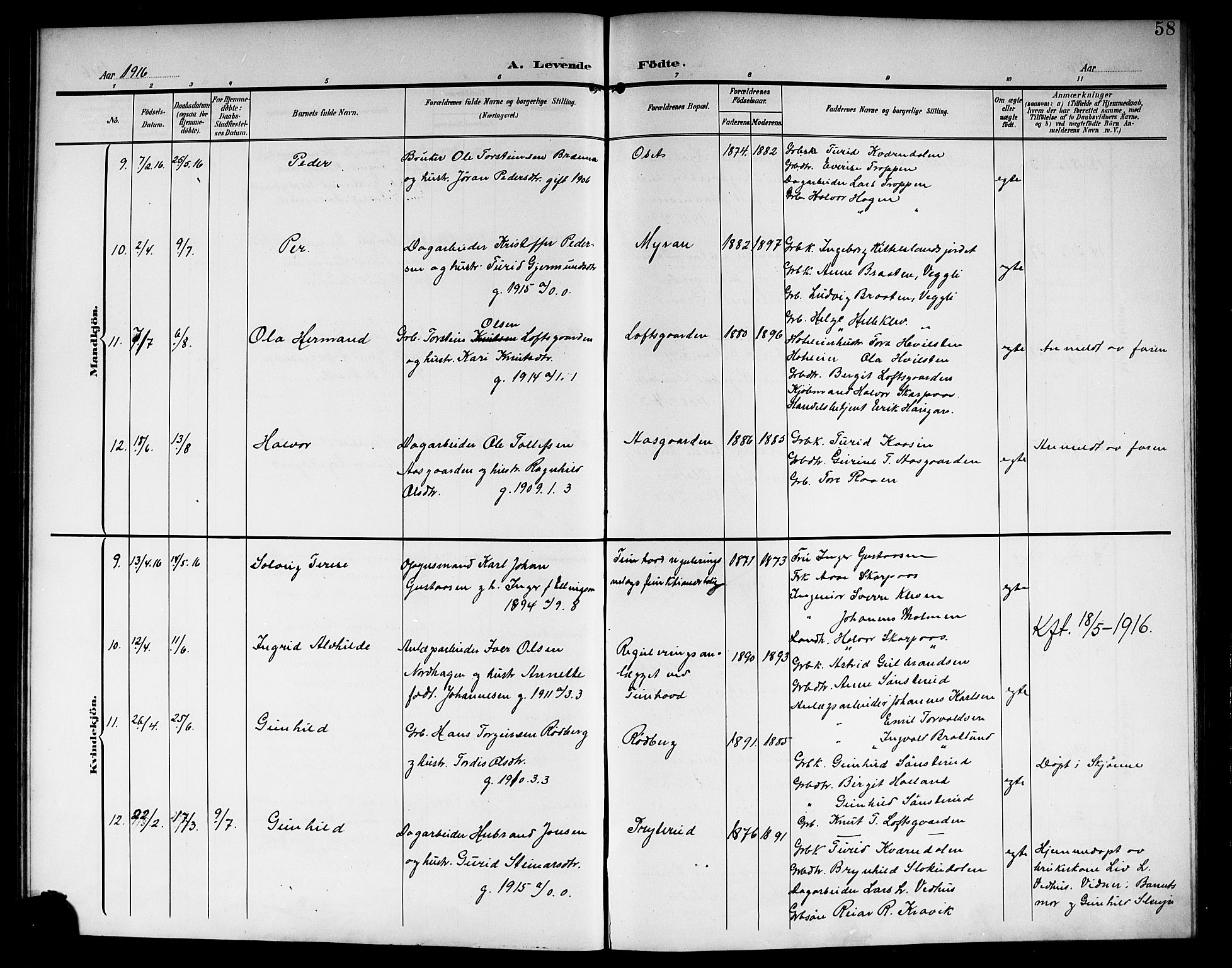 Nore kirkebøker, AV/SAKO-A-238/G/Ga/L0004: Parish register (copy) no. I 4, 1904-1919, p. 58