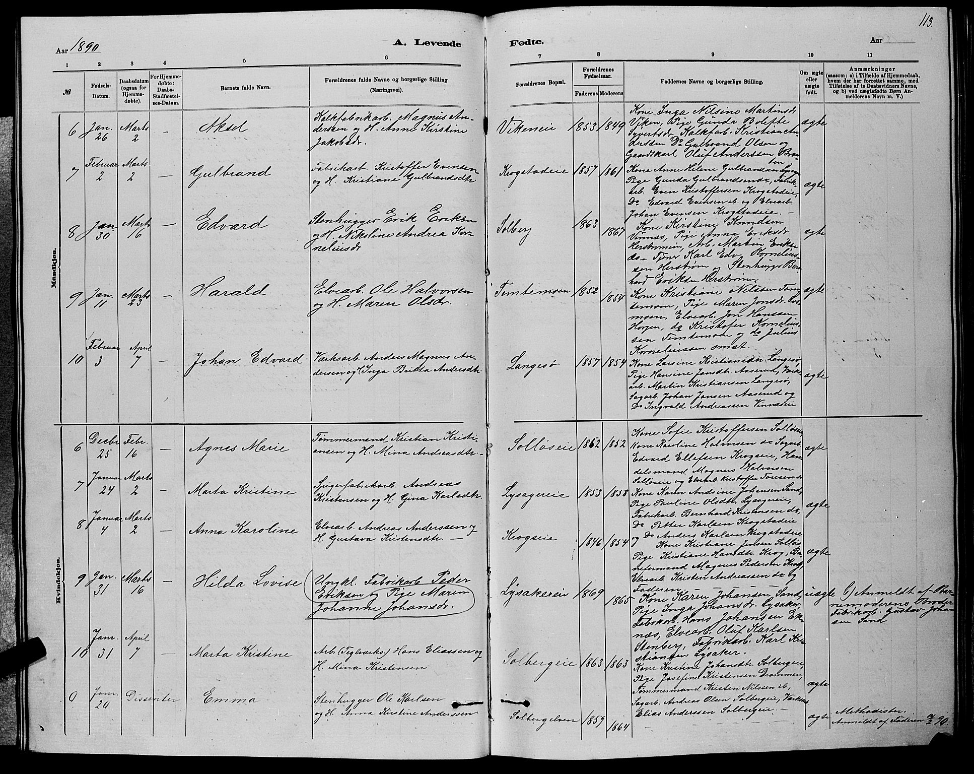 Nedre Eiker kirkebøker, AV/SAKO-A-612/G/Ga/L0002: Parish register (copy) no. 2, 1880-1896, p. 113