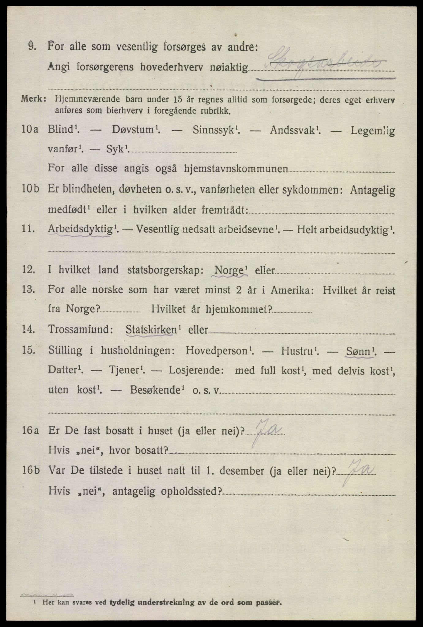 SAKO, 1920 census for Hof, 1920, p. 916