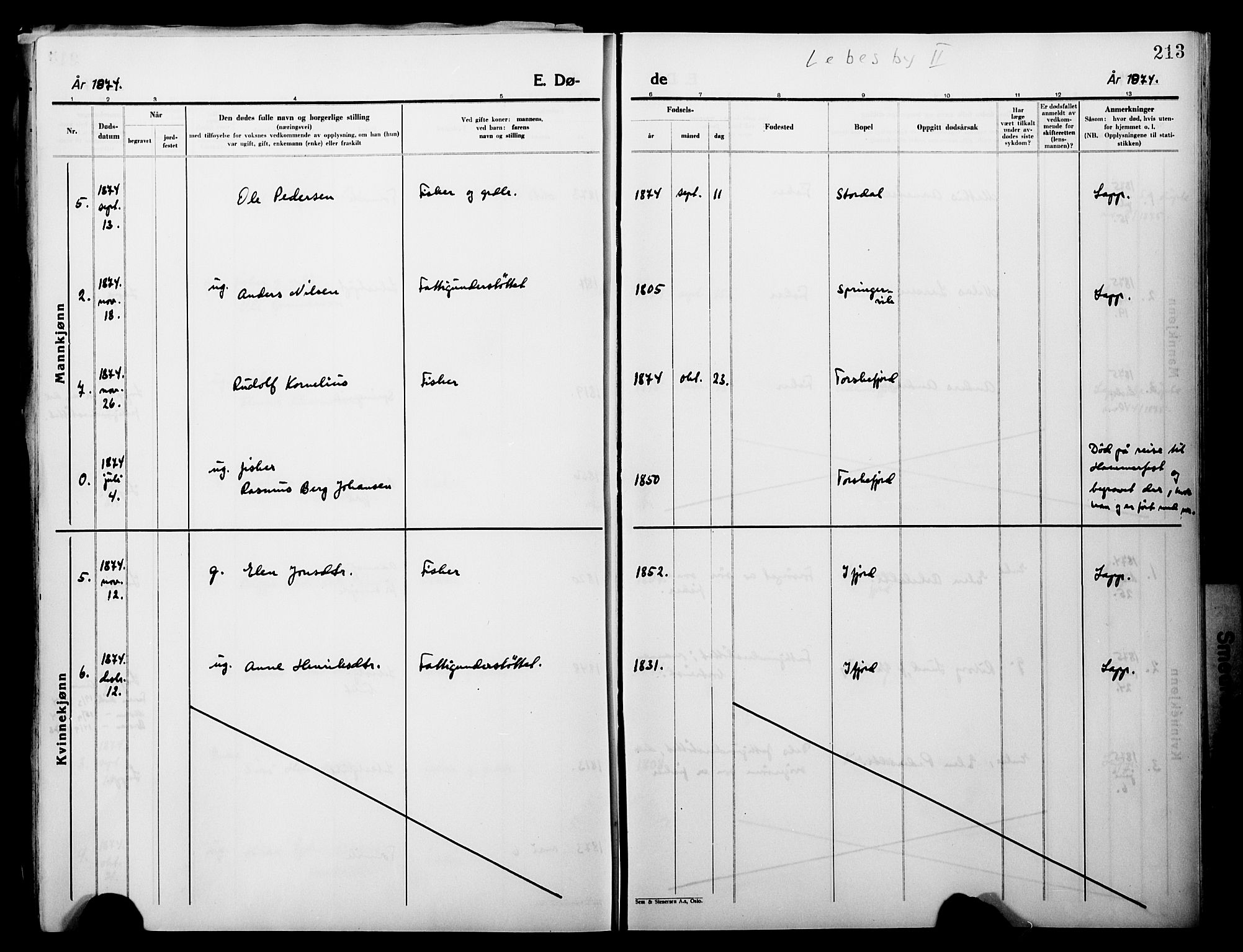 Lebesby sokneprestkontor, SATØ/S-1353/H/Ha/L0004kirke: Parish register (official) no. 4, 1870-1902, p. 213
