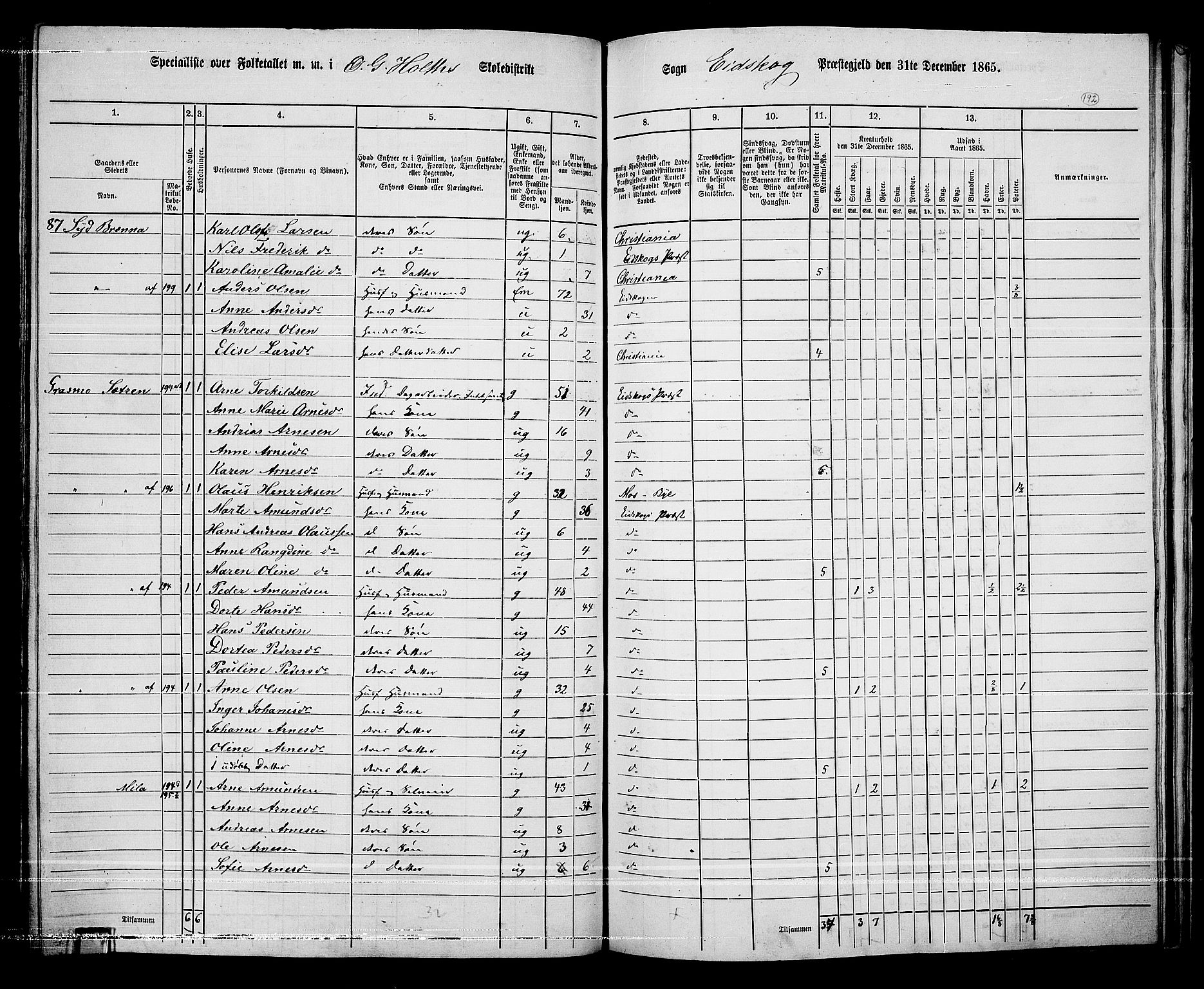 RA, 1865 census for Eidskog, 1865, p. 170