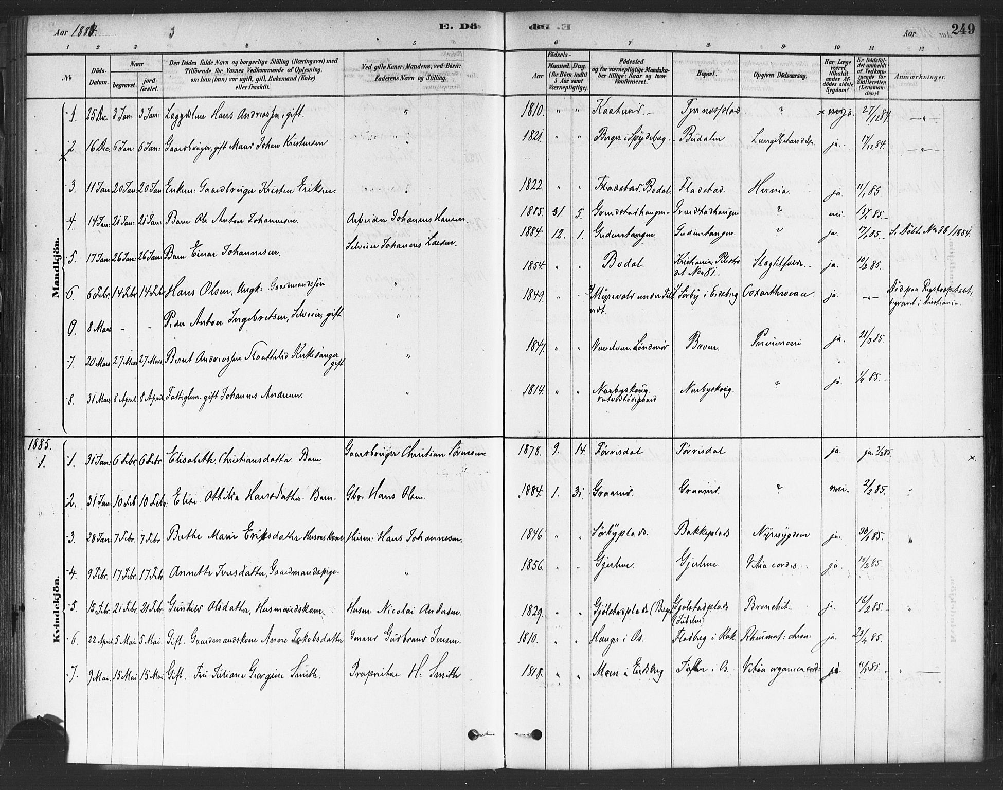 Rakkestad prestekontor Kirkebøker, AV/SAO-A-2008/F/Fa/L0012: Parish register (official) no. I 12, 1878-1893, p. 249