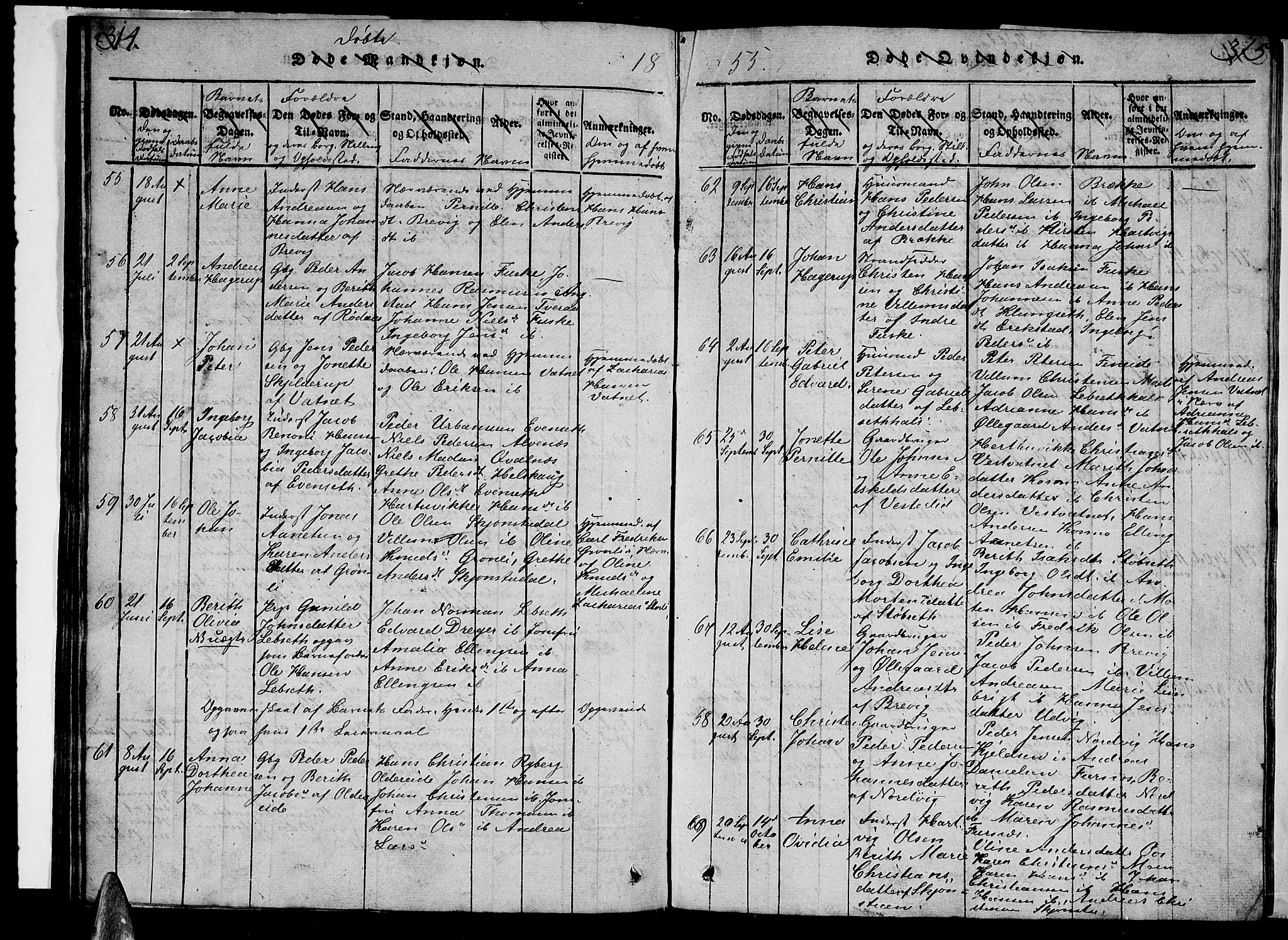 Ministerialprotokoller, klokkerbøker og fødselsregistre - Nordland, AV/SAT-A-1459/852/L0752: Parish register (copy) no. 852C03, 1840-1855, p. 314-315