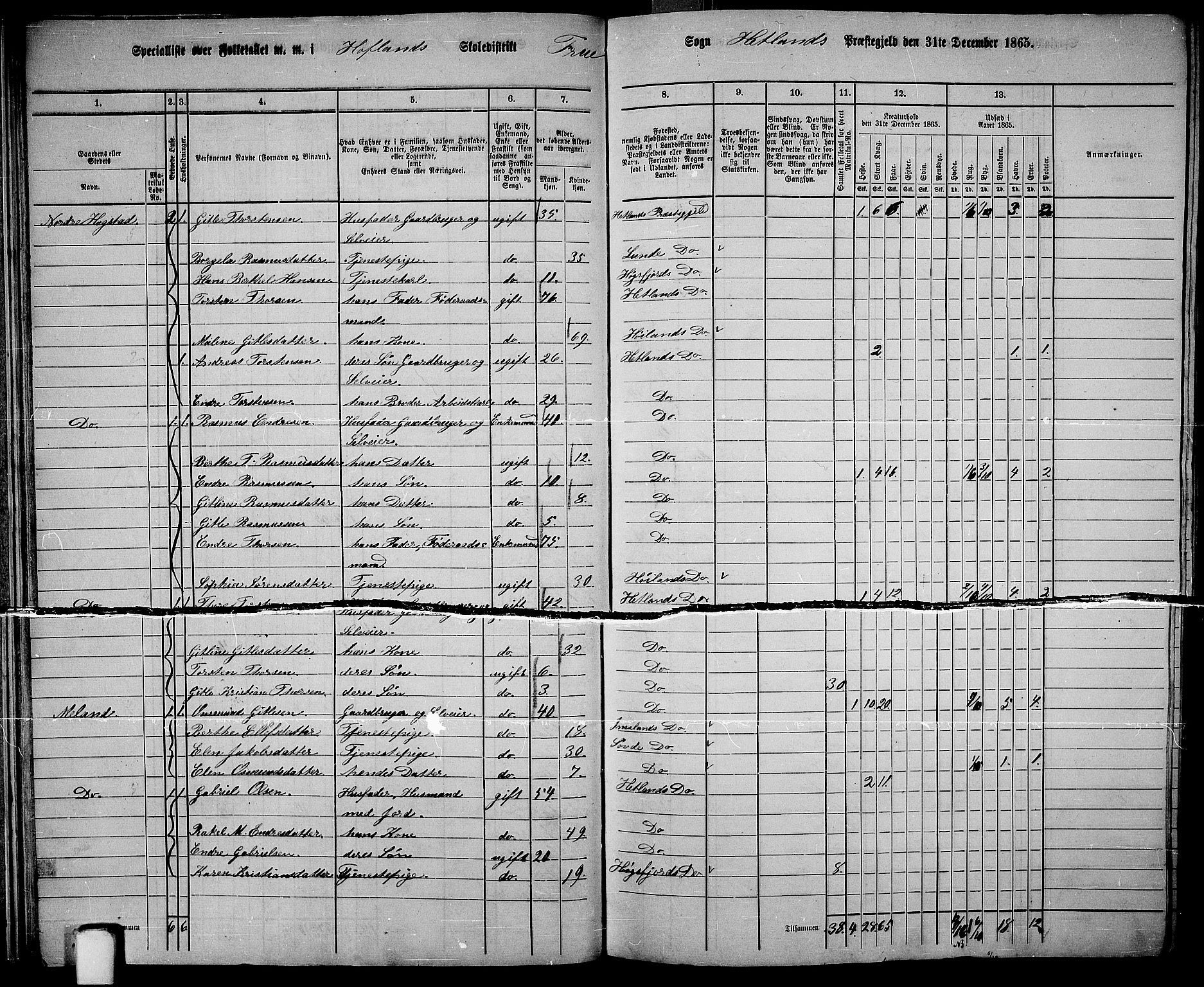 RA, 1865 census for Hetland, 1865, p. 26