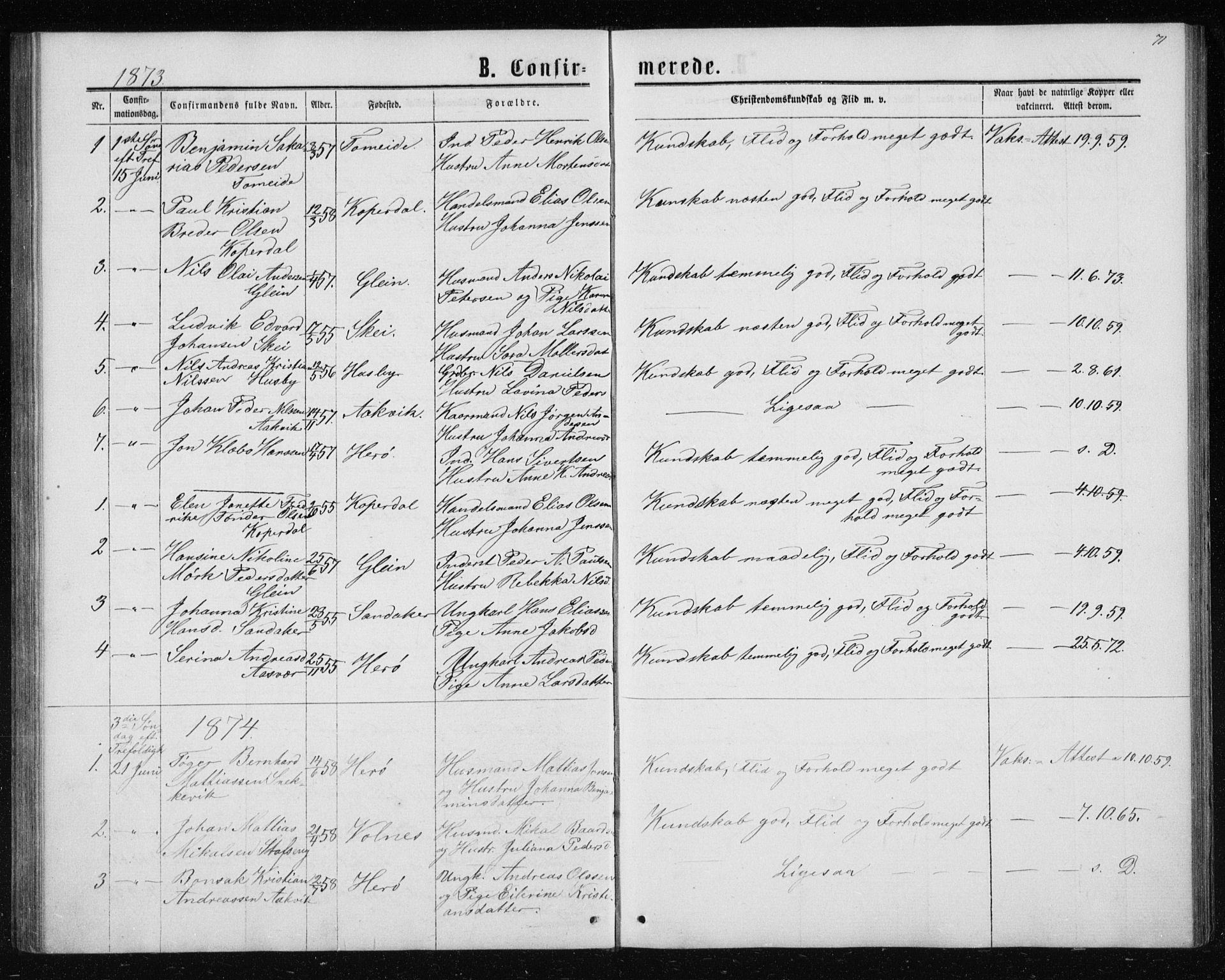 Ministerialprotokoller, klokkerbøker og fødselsregistre - Nordland, AV/SAT-A-1459/835/L0531: Parish register (copy) no. 835C03, 1865-1877, p. 71