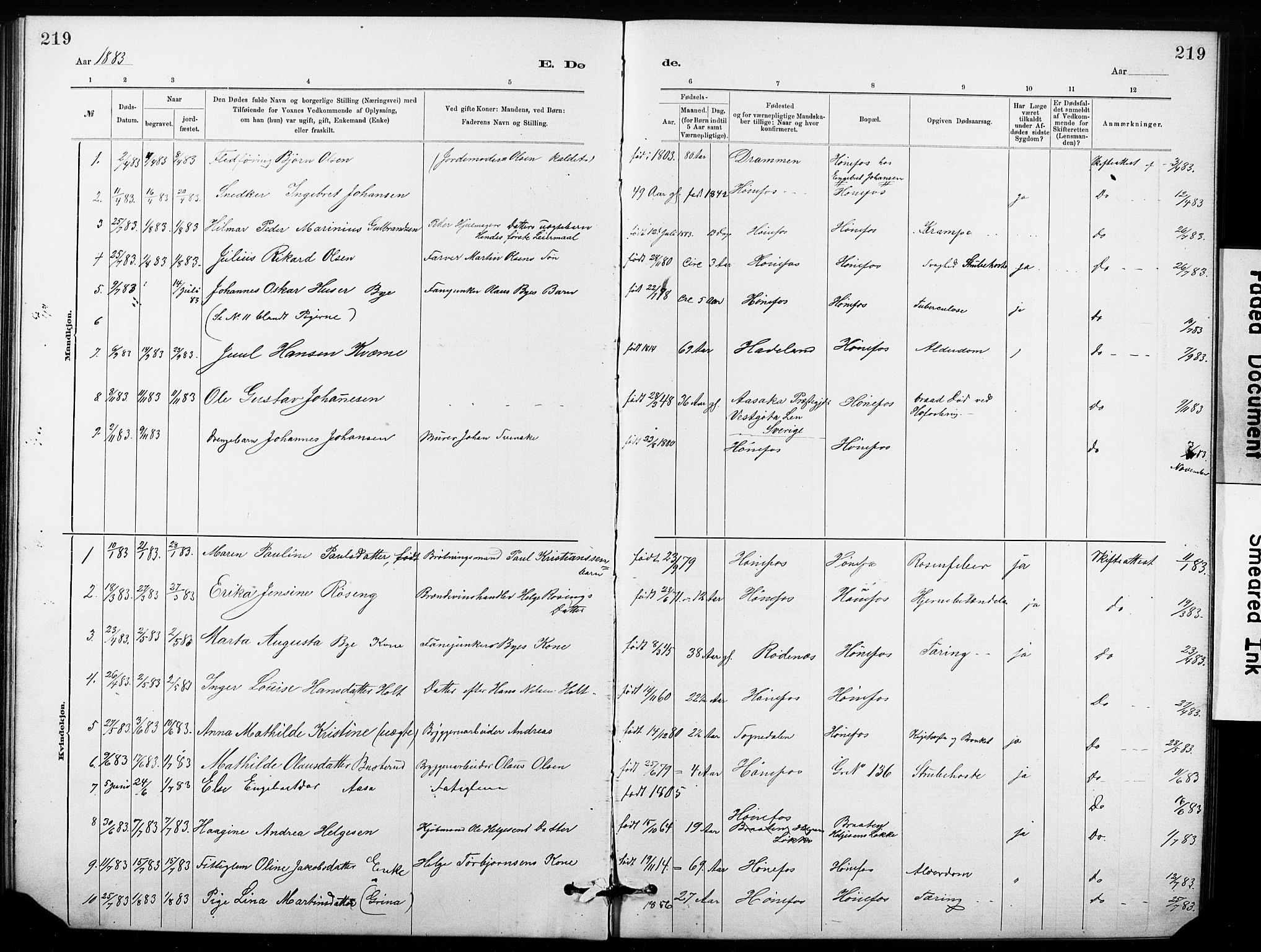Hønefoss kirkebøker, SAKO/A-609/G/Ga/L0001: Parish register (copy) no. 1, 1870-1887, p. 219