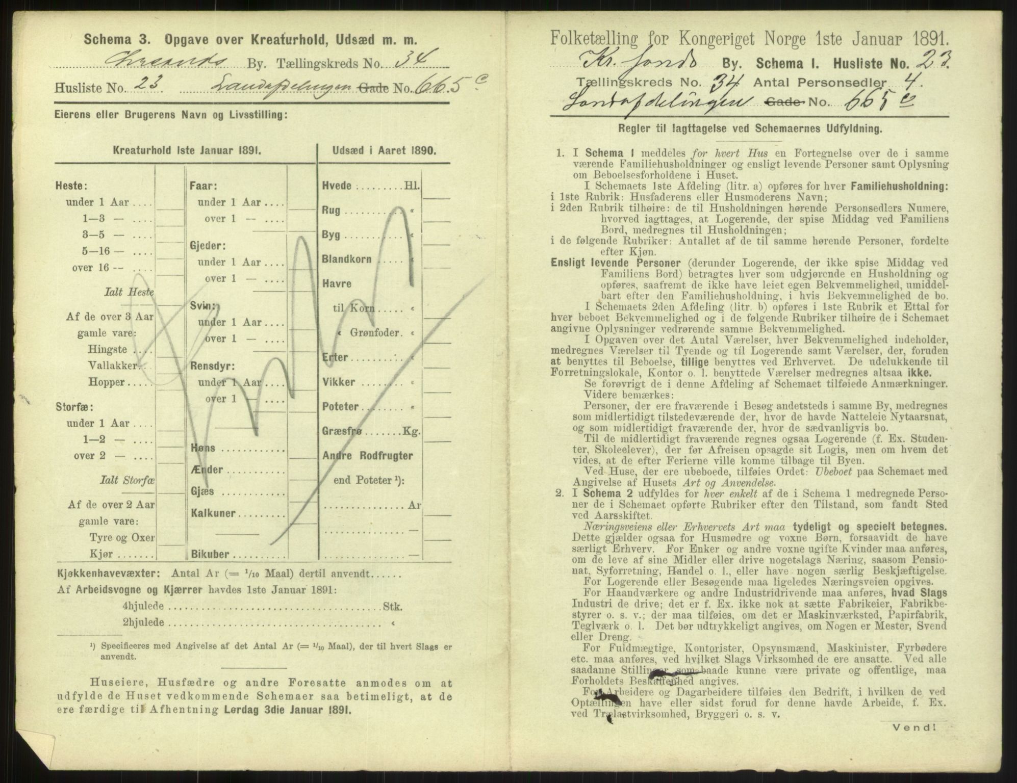 RA, 1891 census for 1001 Kristiansand, 1891, p. 1846