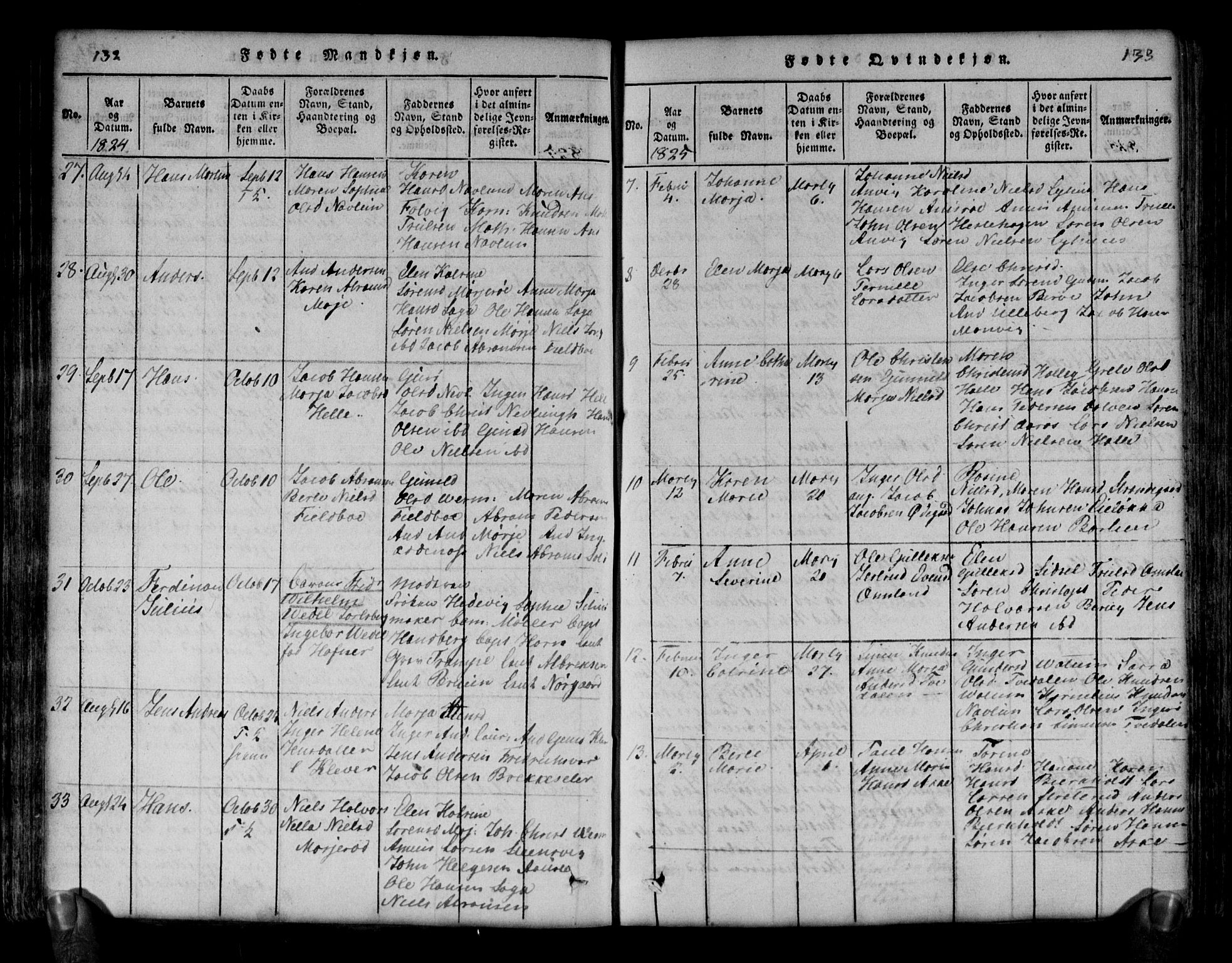 Brunlanes kirkebøker, AV/SAKO-A-342/G/Ga/L0001: Parish register (copy) no. I 1, 1814-1834, p. 132-133