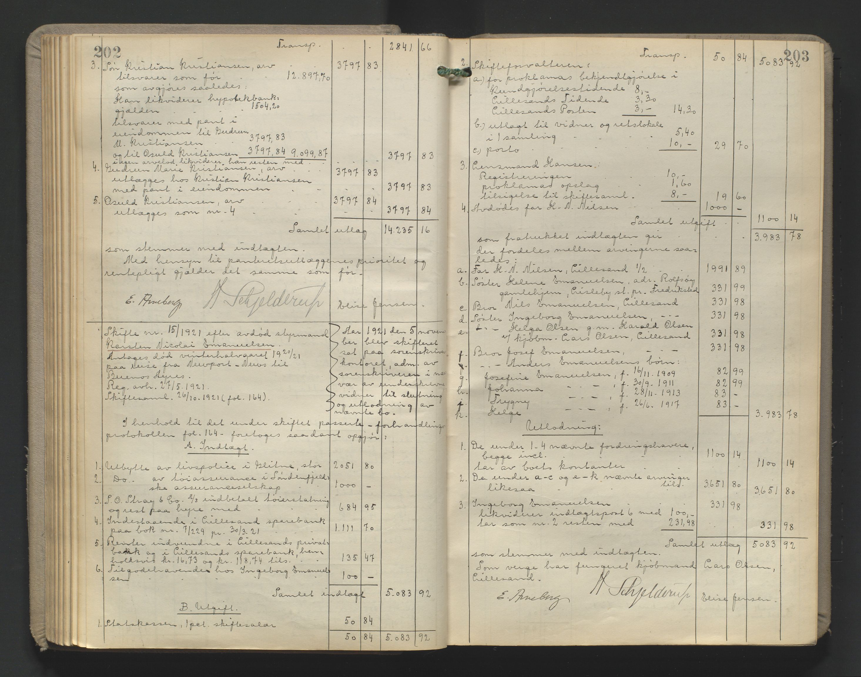 Vestre Nedenes/Sand sorenskriveri, AV/SAK-1221-0010/H/Hc/L0022: Skifteutlodningsprotokoll nr. 9, 1919-1932, p. 202-203