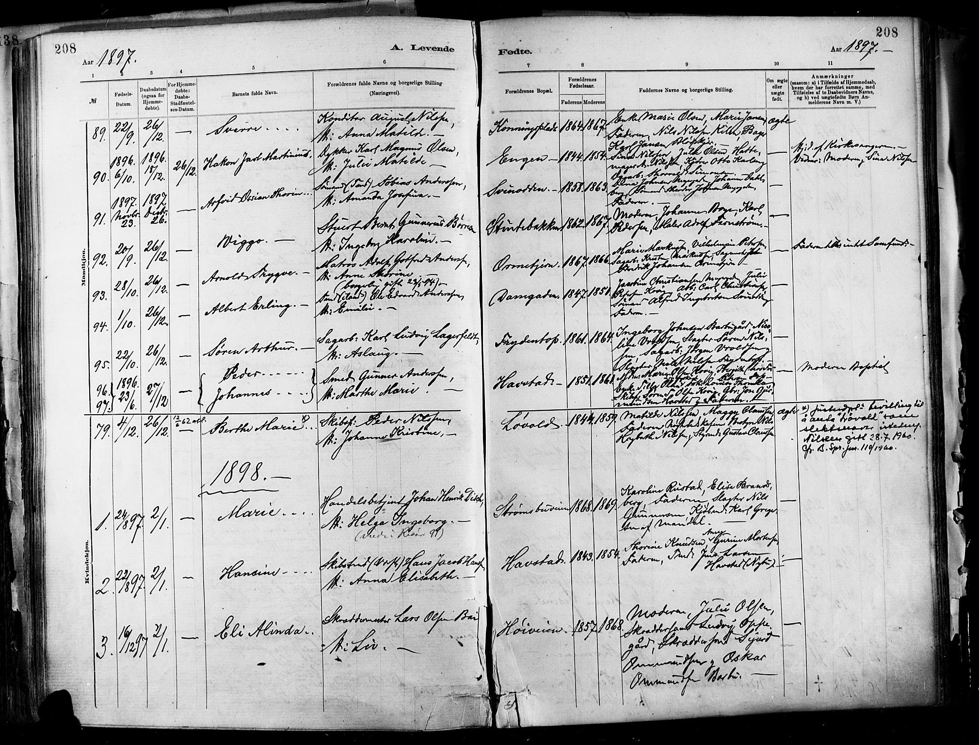Barbu sokneprestkontor, SAK/1111-0003/F/Fa/L0002: Parish register (official) no. A 2, 1883-1898, p. 208