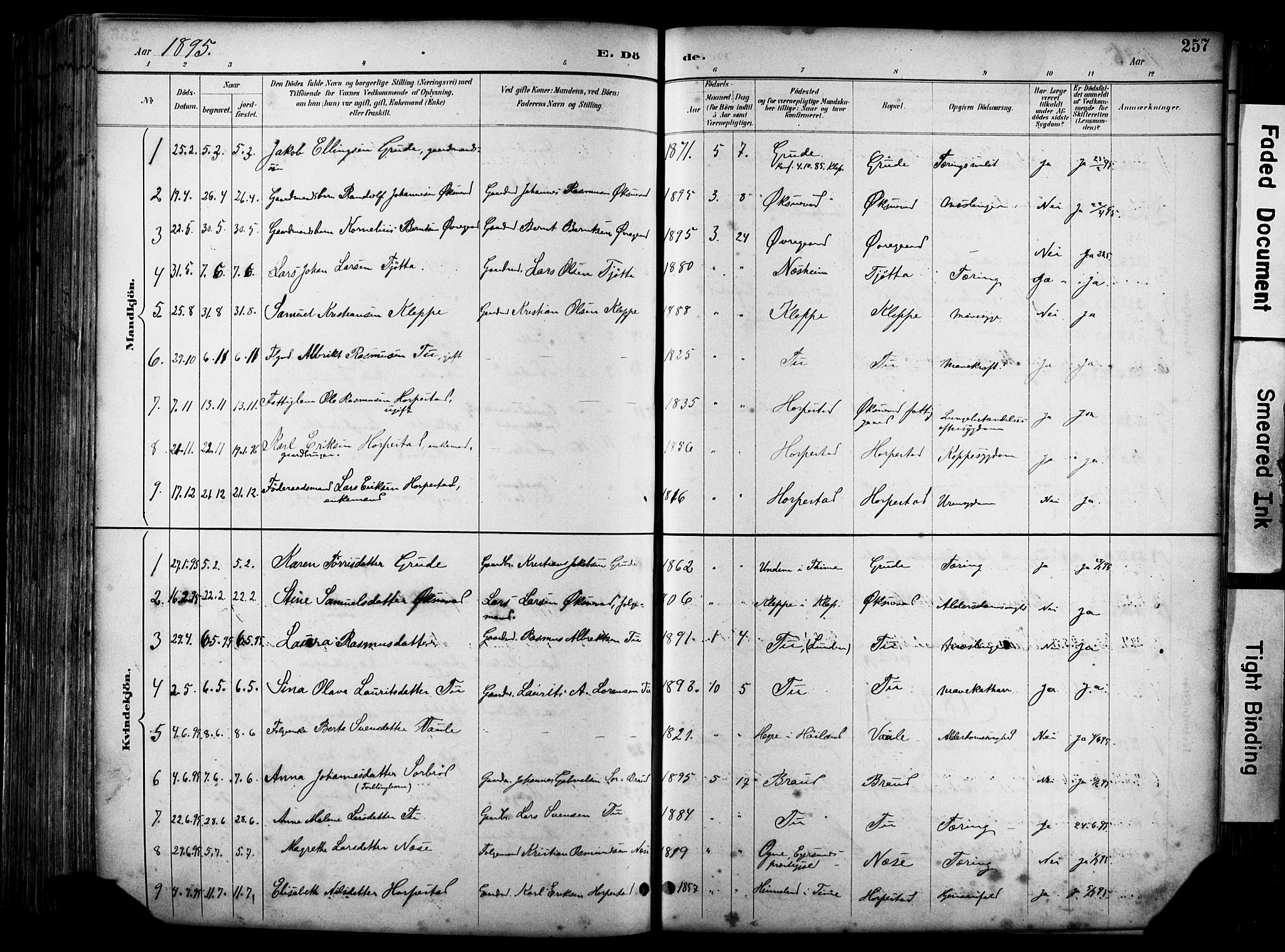 Klepp sokneprestkontor, SAST/A-101803/001/3/30BA/L0009: Parish register (official) no. A 7, 1886-1915, p. 257