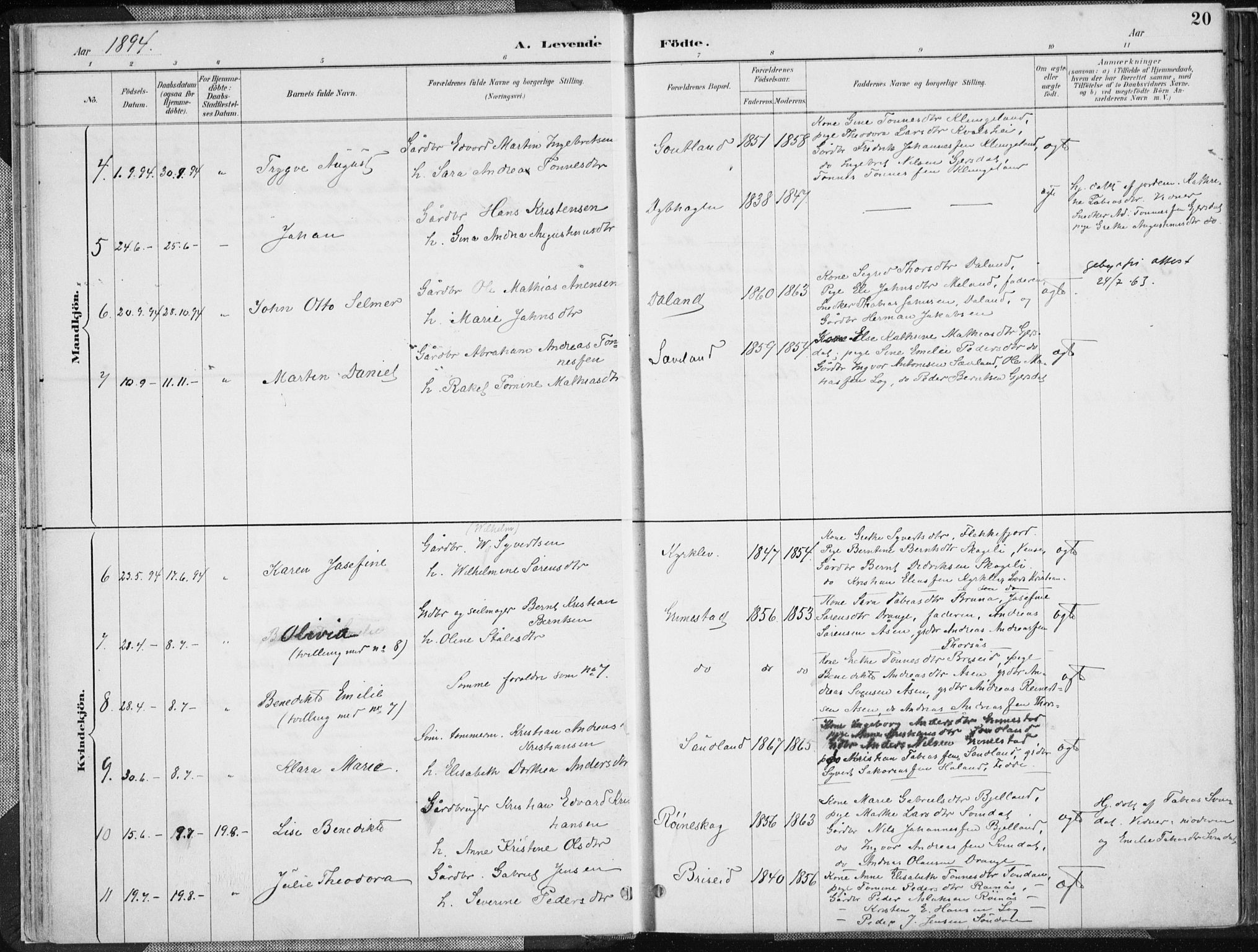 Herad sokneprestkontor, AV/SAK-1111-0018/F/Fa/Faa/L0006: Parish register (official) no. A 6, 1887-1907, p. 20