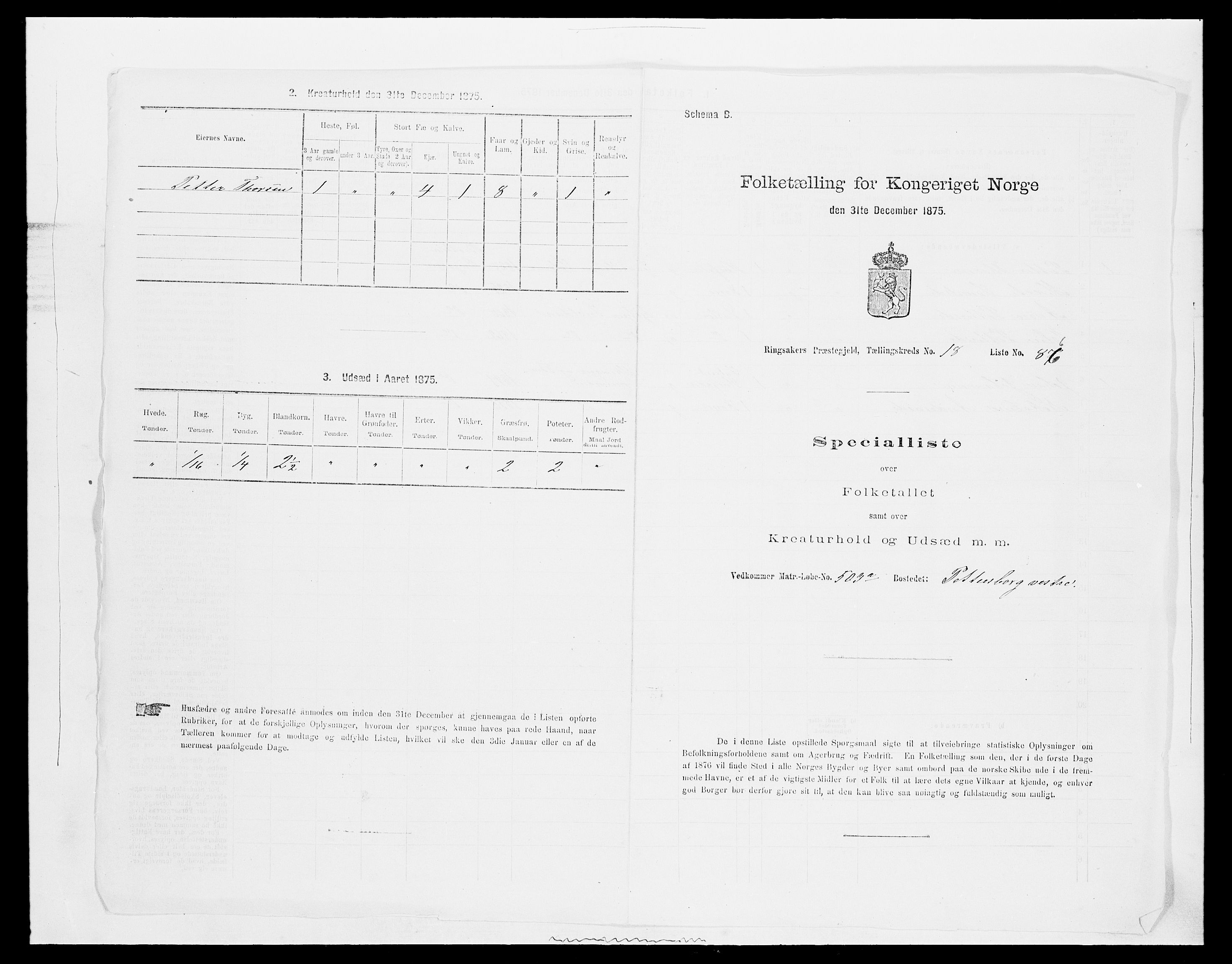 SAH, 1875 census for 0412P Ringsaker, 1875, p. 3728