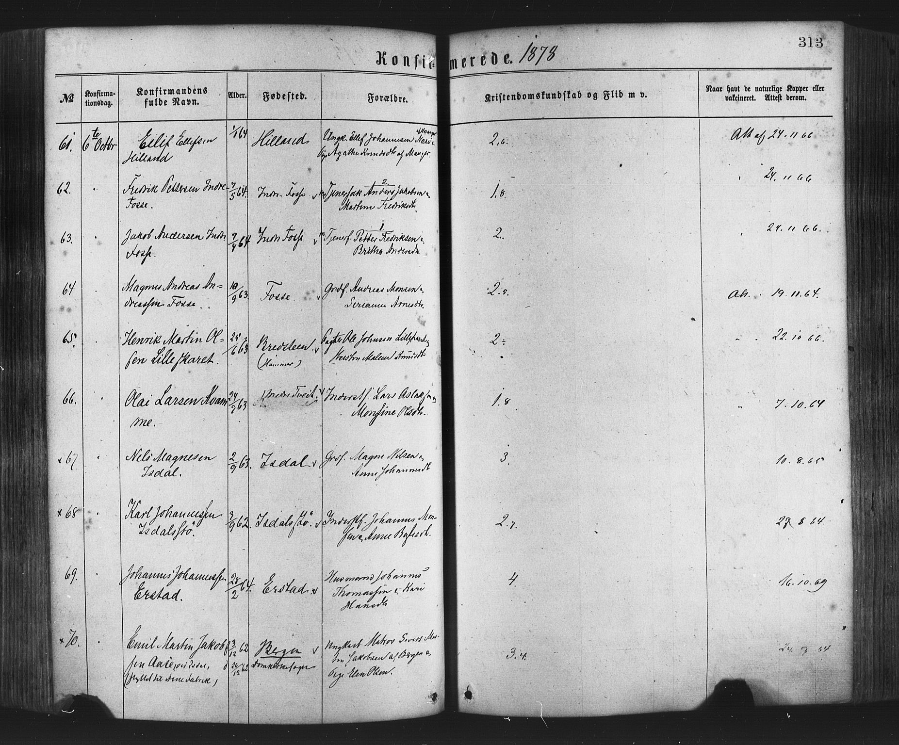 Hamre sokneprestembete, AV/SAB-A-75501/H/Ha/Haa/Haaa/L0015: Parish register (official) no. A 15, 1870-1881, p. 313