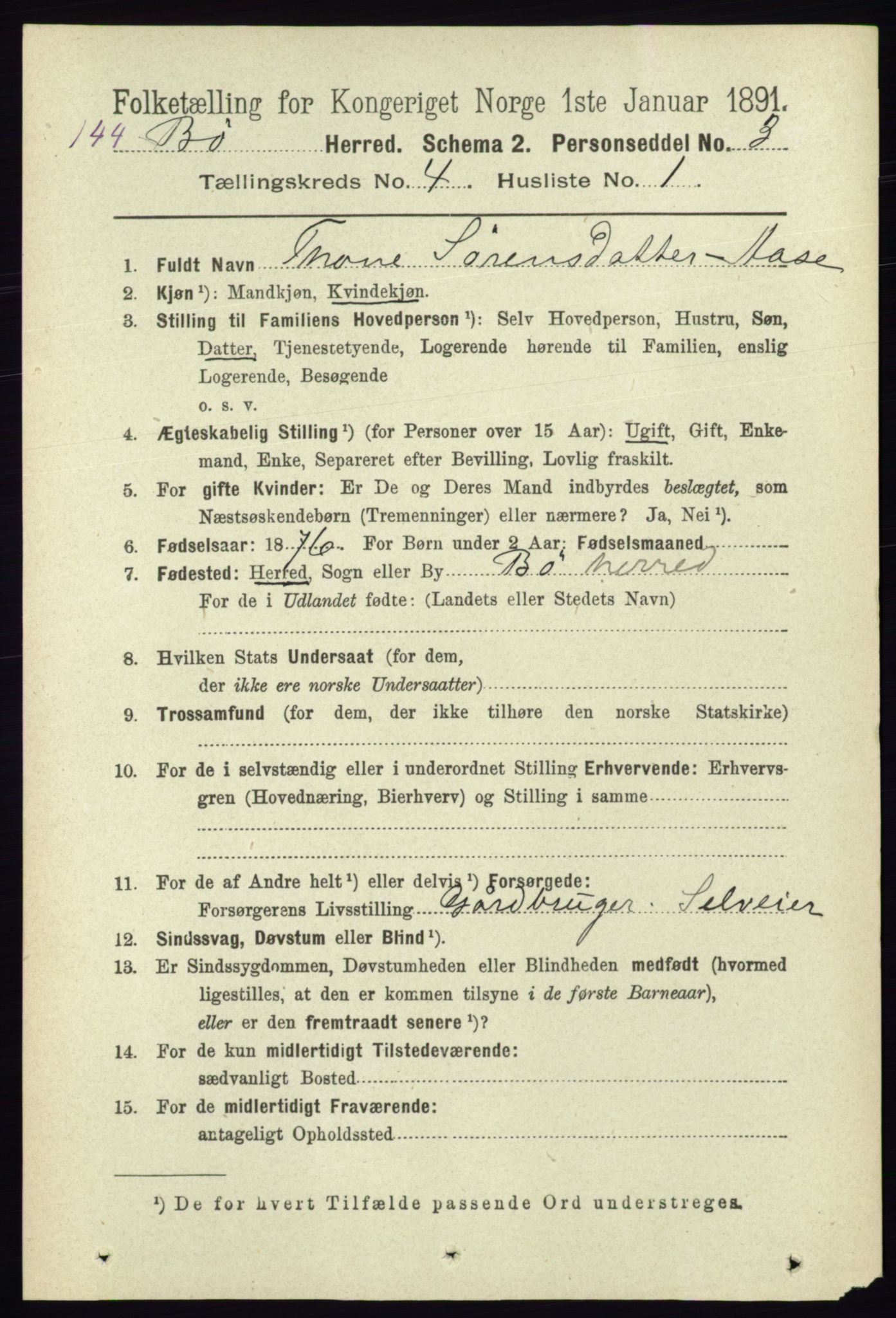 RA, 1891 census for 0821 Bø, 1891, p. 1226