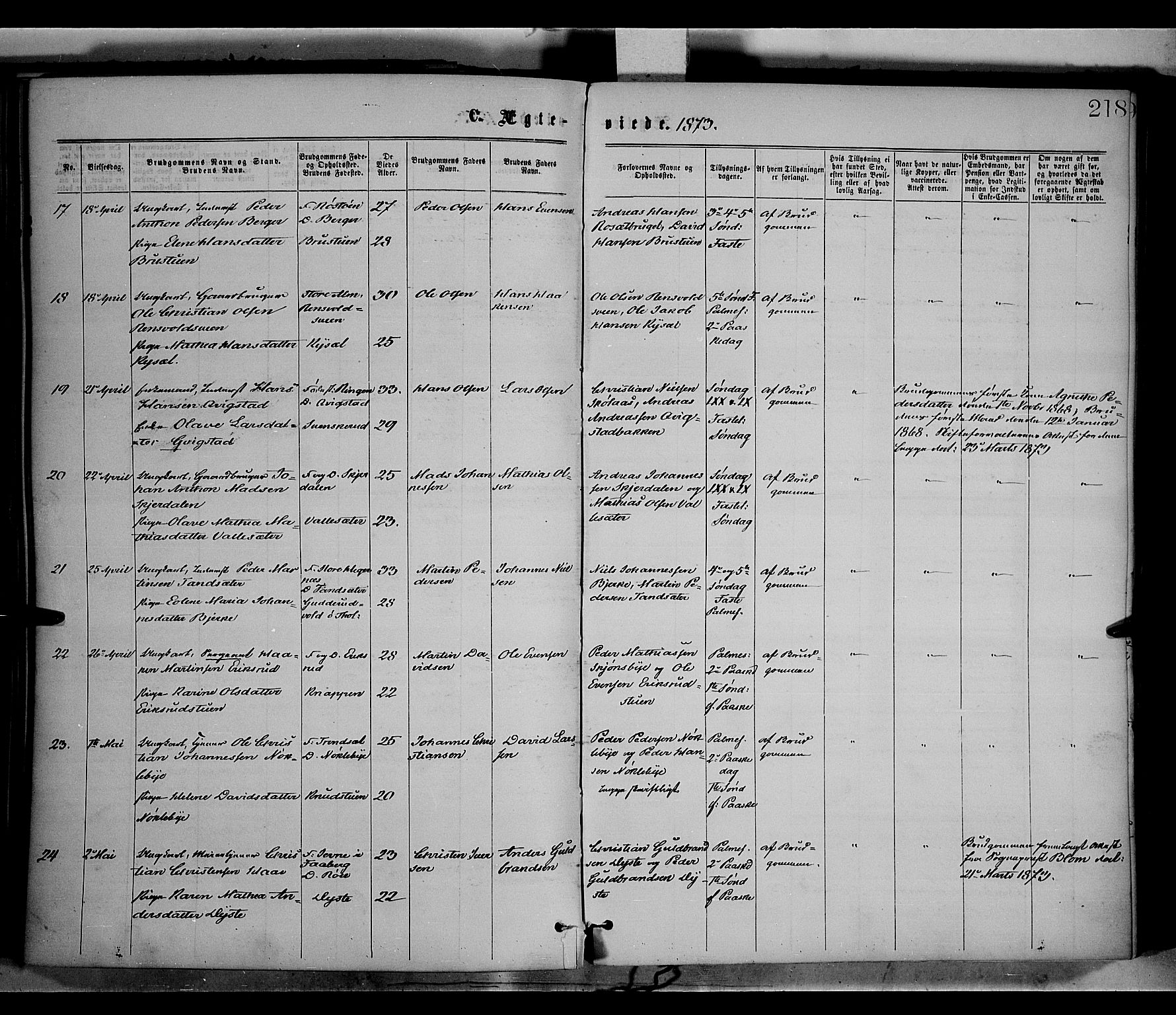 Vestre Toten prestekontor, AV/SAH-PREST-108/H/Ha/Haa/L0008: Parish register (official) no. 8, 1870-1877, p. 218