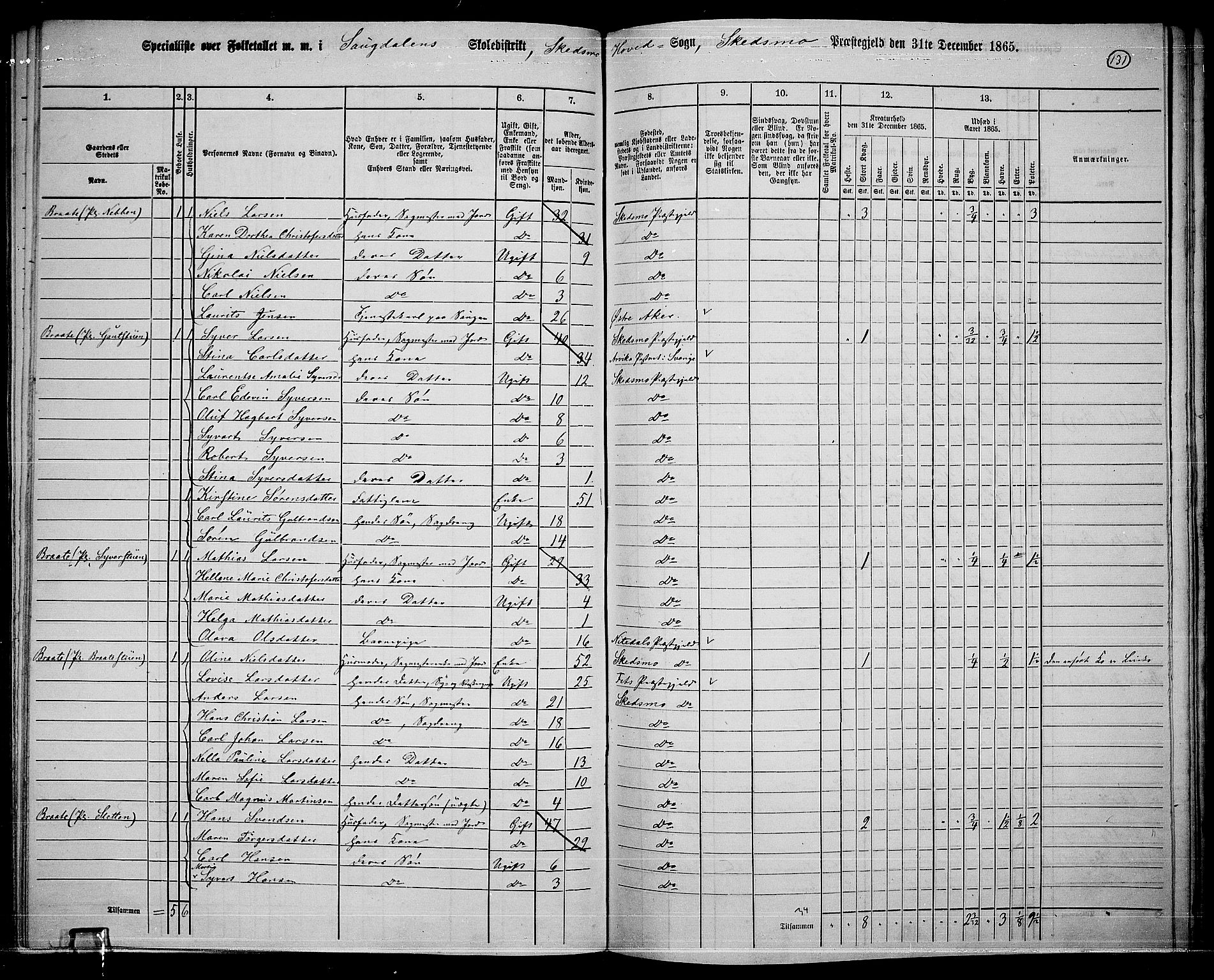 RA, 1865 census for Skedsmo, 1865, p. 119