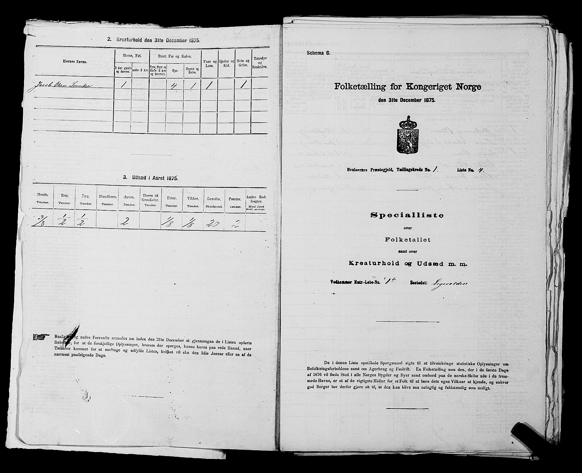 RA, 1875 census for 0111P Hvaler, 1875, p. 31