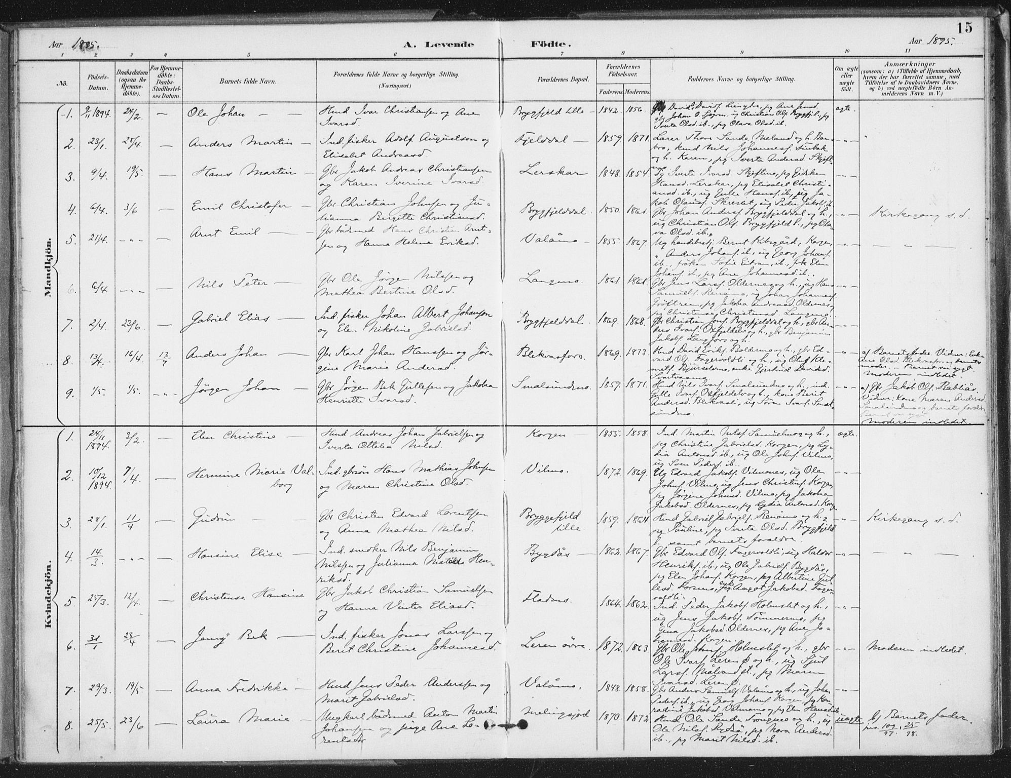 Ministerialprotokoller, klokkerbøker og fødselsregistre - Nordland, SAT/A-1459/826/L0380: Parish register (official) no. 826A03, 1891-1911, p. 15