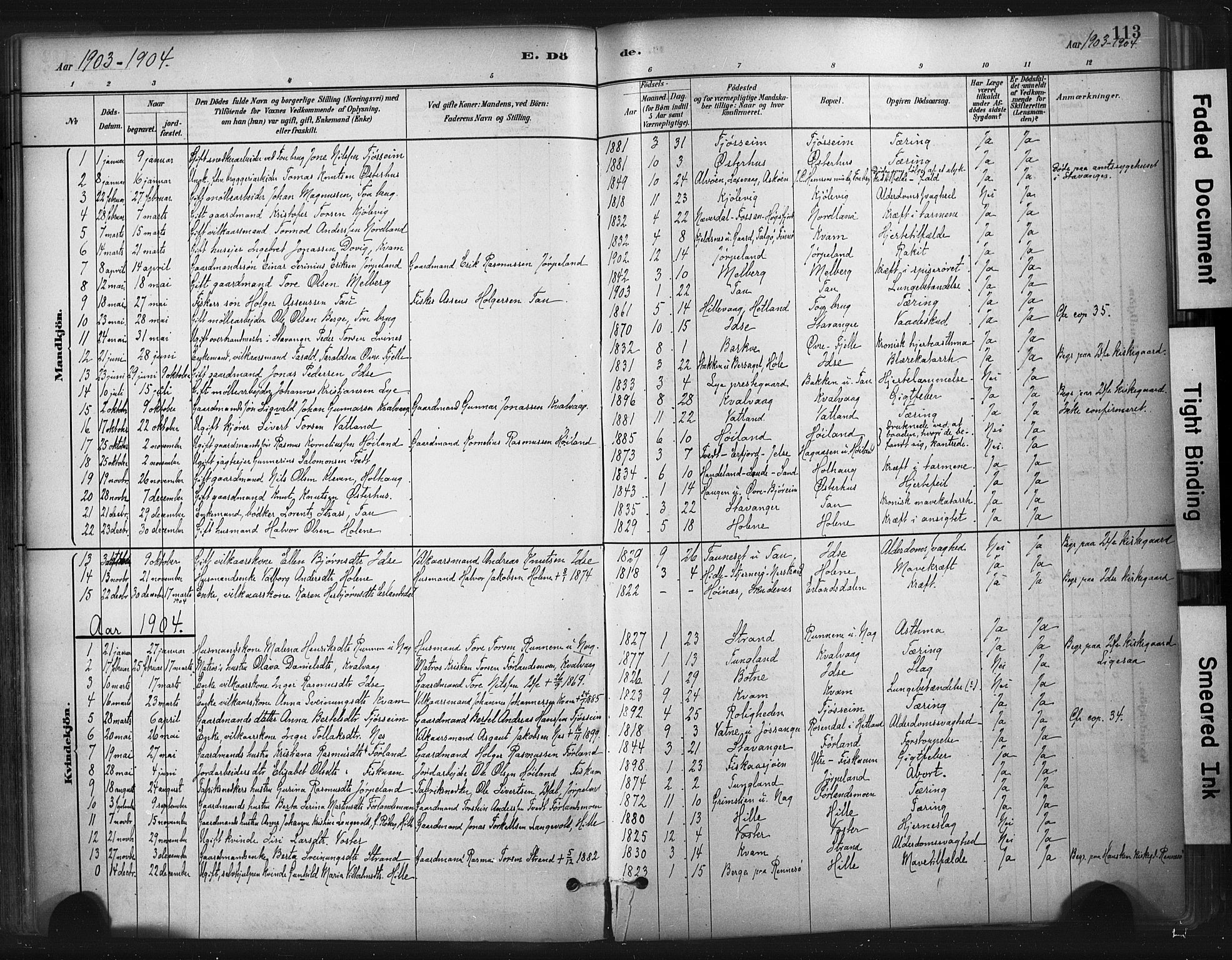 Strand sokneprestkontor, SAST/A-101828/H/Ha/Haa/L0010: Parish register (official) no. A 10, 1882-1929, p. 113