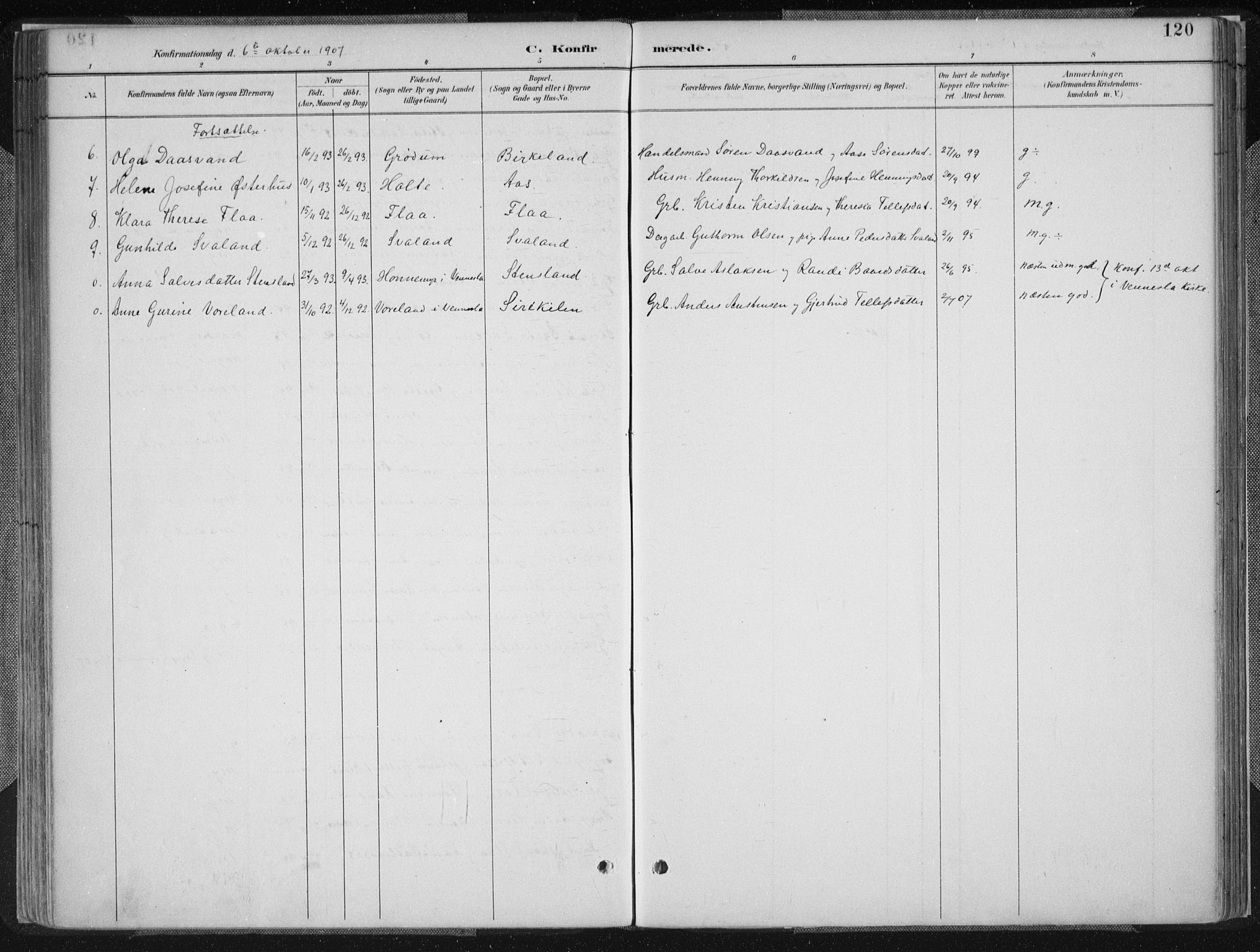 Birkenes sokneprestkontor, AV/SAK-1111-0004/F/Fa/L0005: Parish register (official) no. A 5, 1887-1907, p. 120