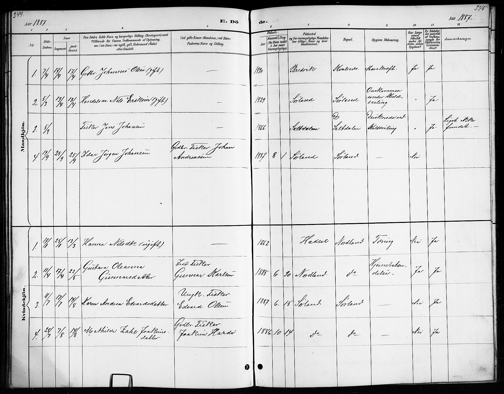 Ministerialprotokoller, klokkerbøker og fødselsregistre - Nordland, SAT/A-1459/807/L0123: Parish register (copy) no. 807C01, 1884-1910, p. 344-345