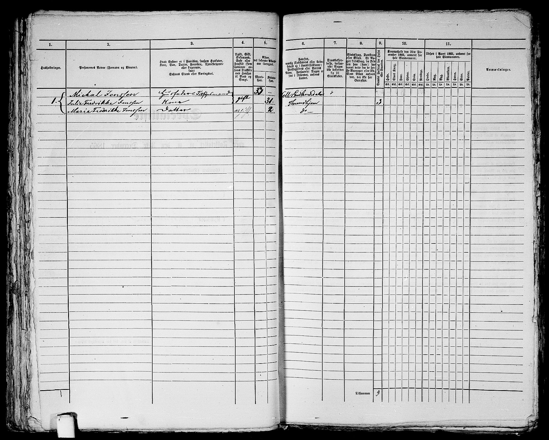 RA, 1865 census for Trondheim, 1865, p. 1133