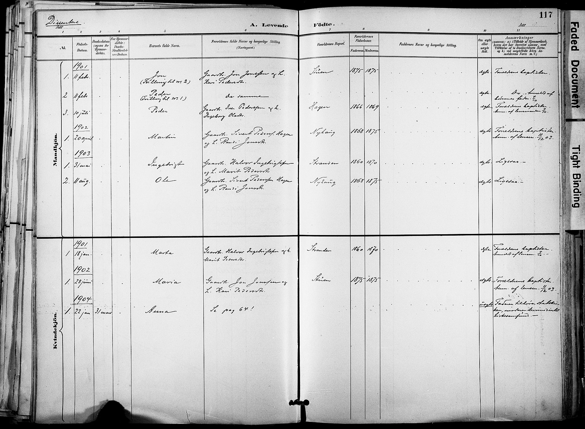 Ministerialprotokoller, klokkerbøker og fødselsregistre - Sør-Trøndelag, SAT/A-1456/678/L0902: Parish register (official) no. 678A11, 1895-1911, p. 117