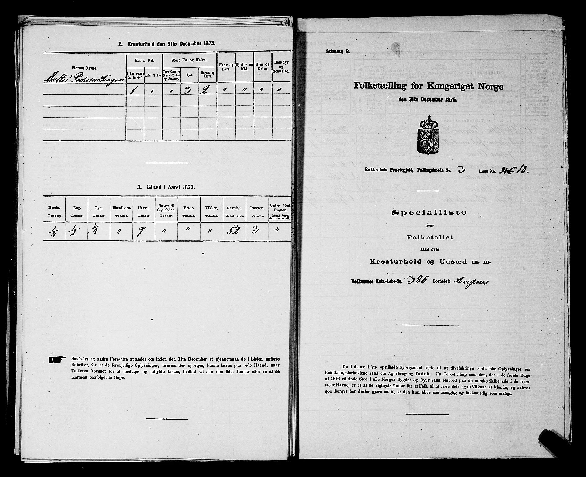 RA, 1875 census for 0128P Rakkestad, 1875, p. 523