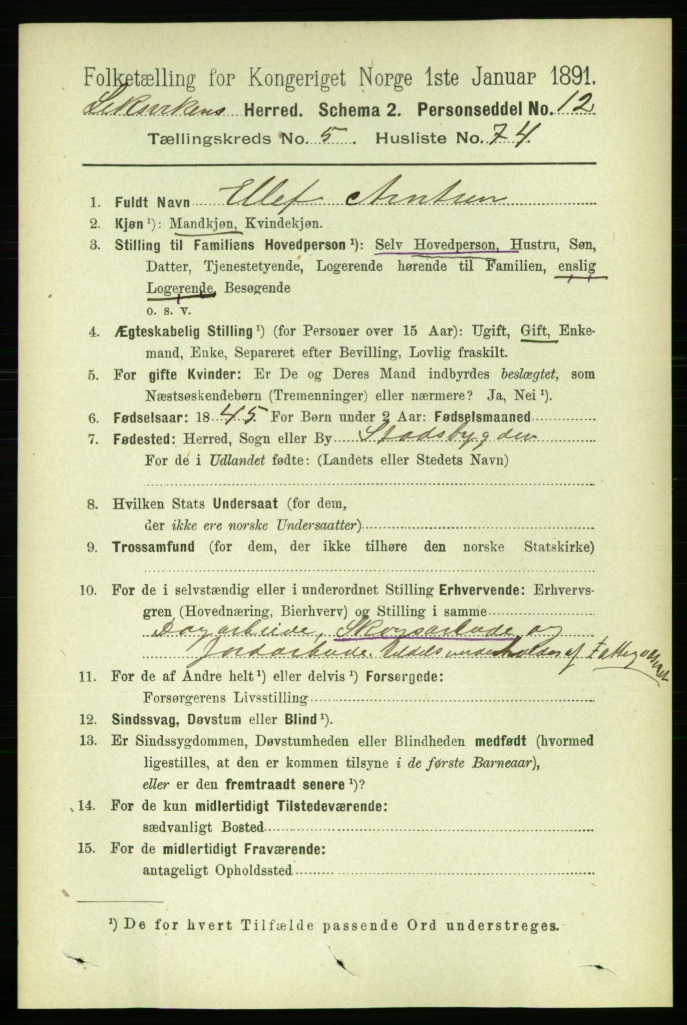 RA, 1891 census for 1718 Leksvik, 1891, p. 3087