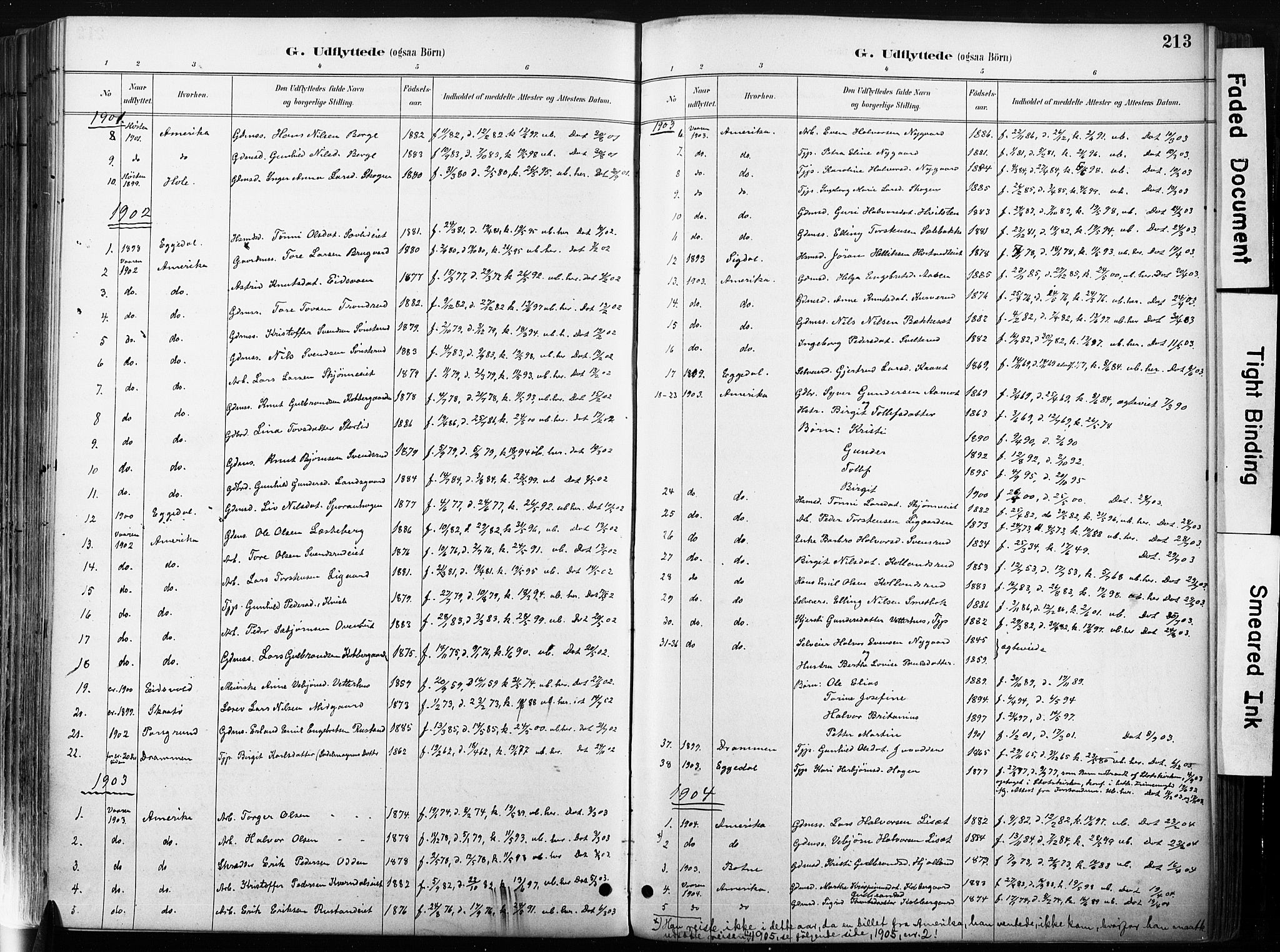 Nore kirkebøker, SAKO/A-238/F/Fb/L0002: Parish register (official) no. II 2, 1886-1906, p. 213