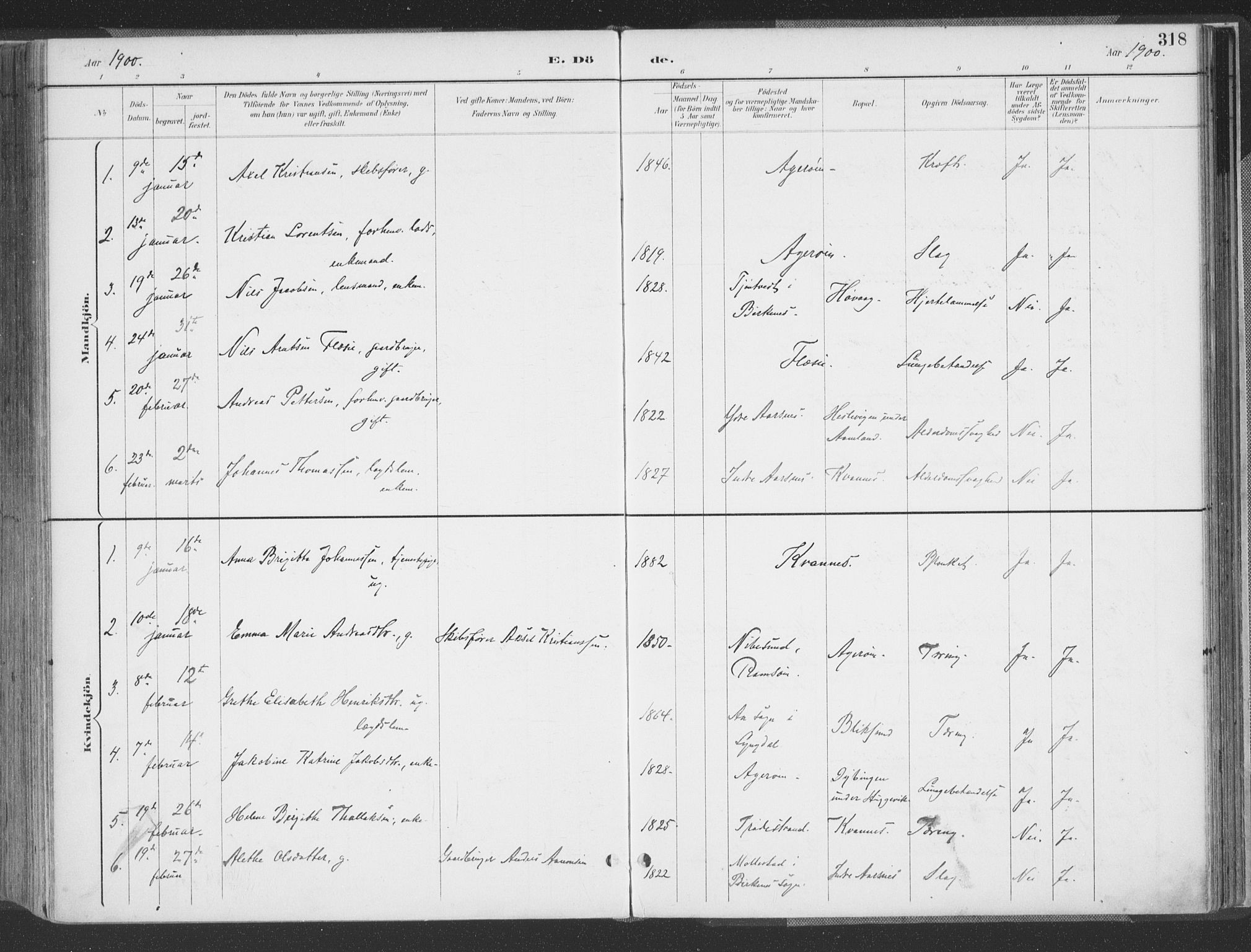 Høvåg sokneprestkontor, AV/SAK-1111-0025/F/Fa/L0006: Parish register (official) no. A 6, 1894-1923, p. 318