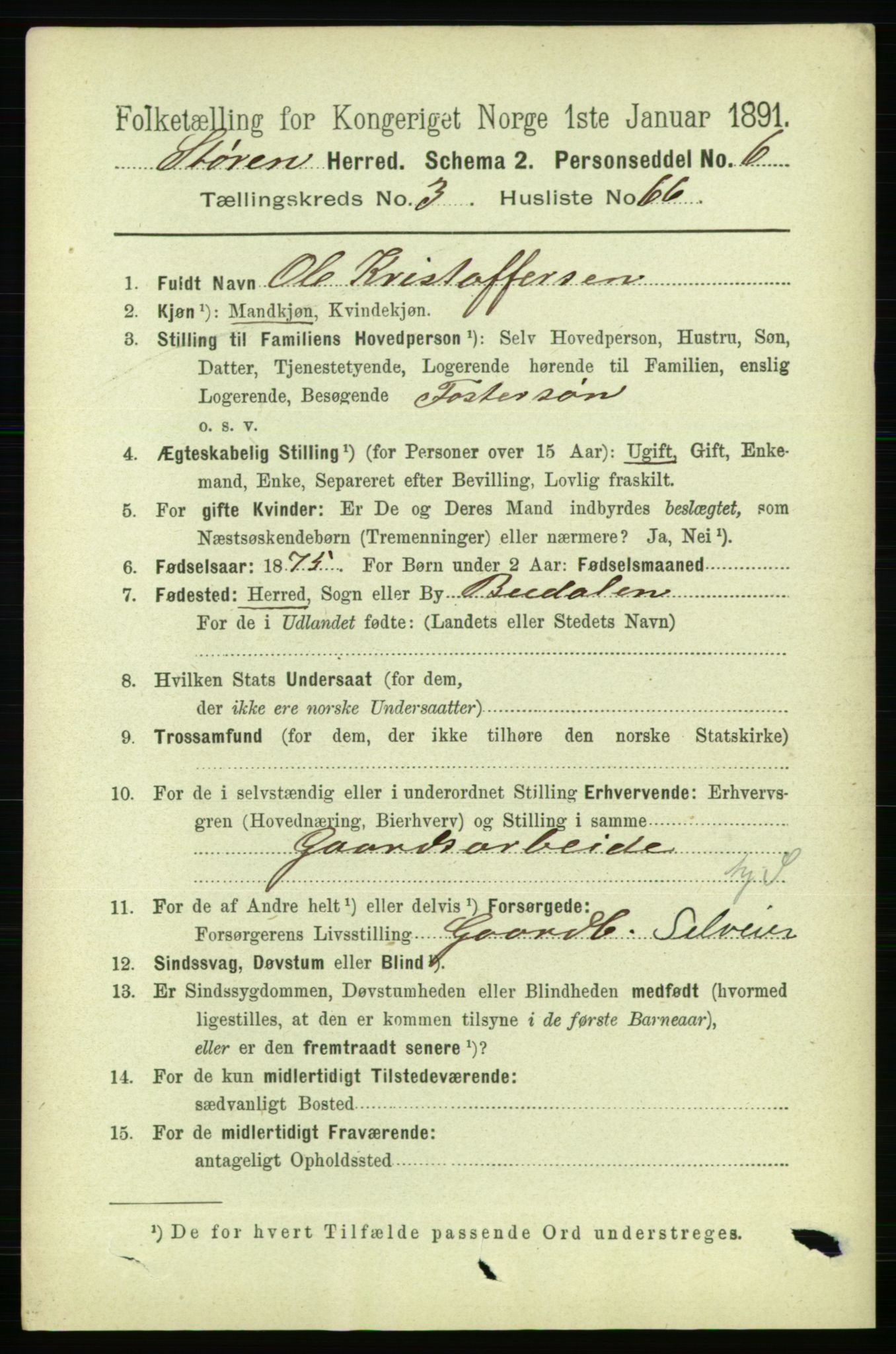 RA, 1891 census for 1648 Støren, 1891, p. 1200