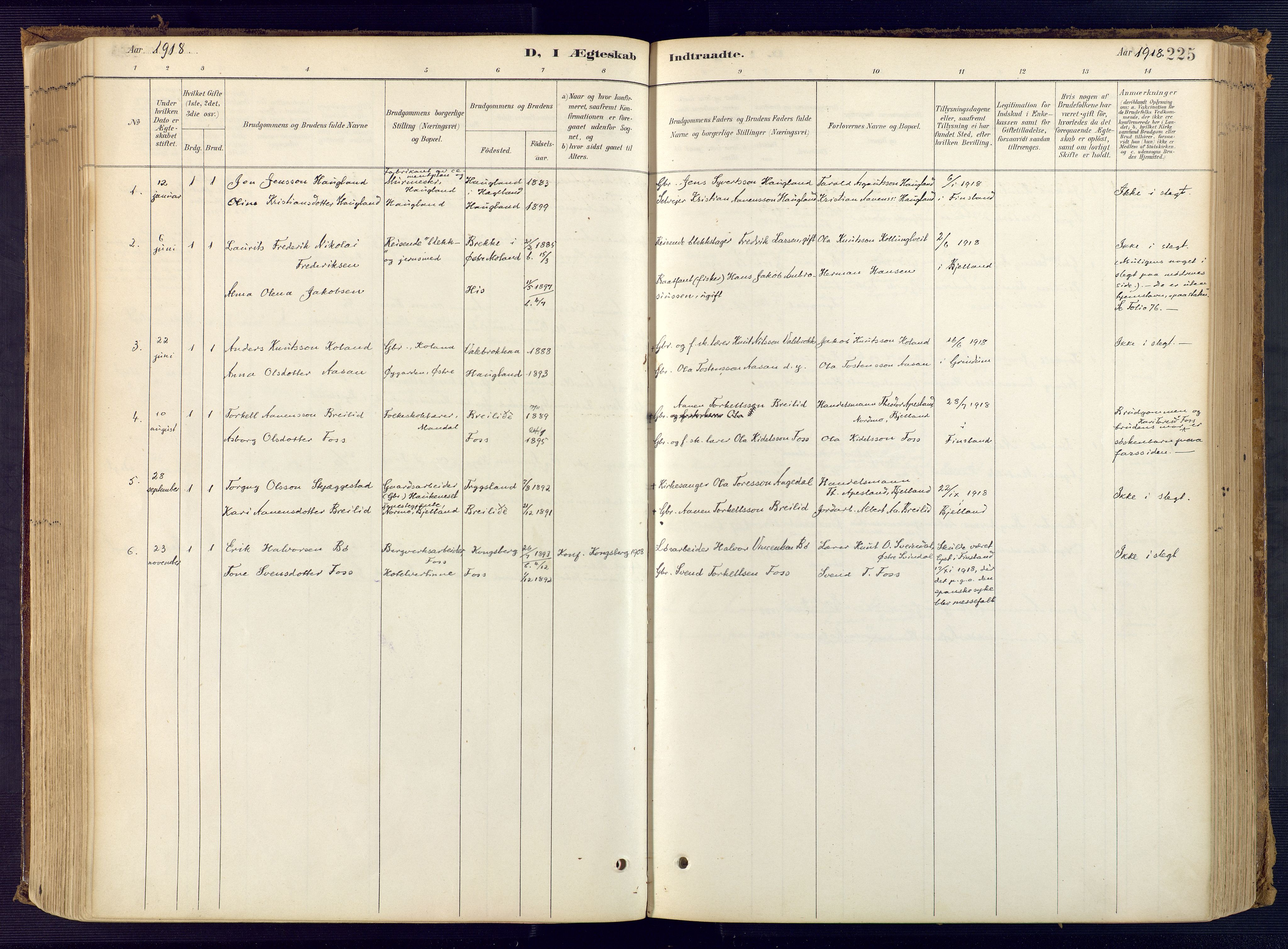 Bjelland sokneprestkontor, SAK/1111-0005/F/Fa/Faa/L0004: Parish register (official) no. A 4, 1887-1923, p. 225