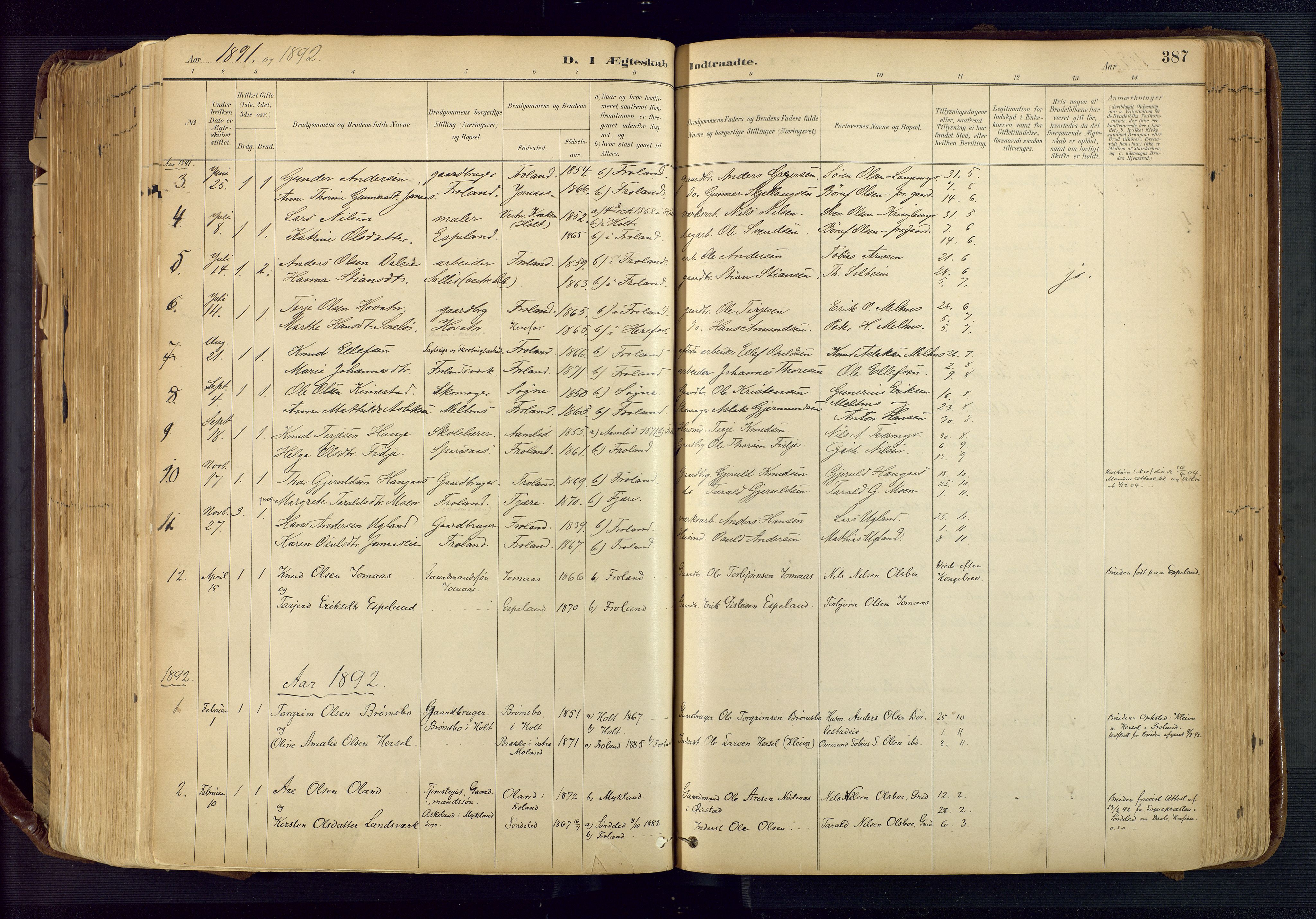 Froland sokneprestkontor, AV/SAK-1111-0013/F/Fa/L0005: Parish register (official) no. A 5, 1882-1921, p. 387