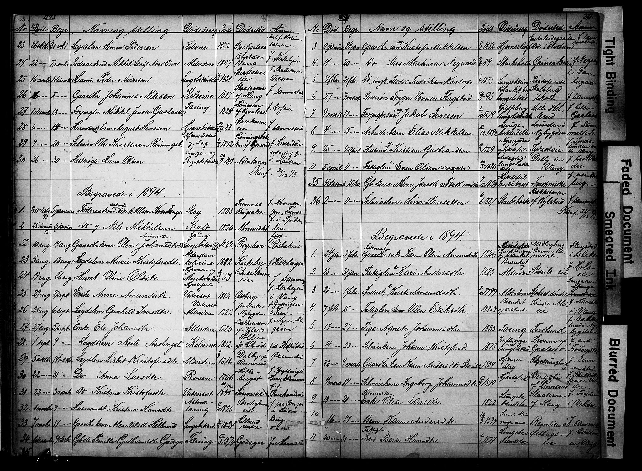 Vang prestekontor, Hedmark, SAH/PREST-008/H/Ha/Hab/L0018: Parish register (copy) no. 18, 1871-1903, p. 371