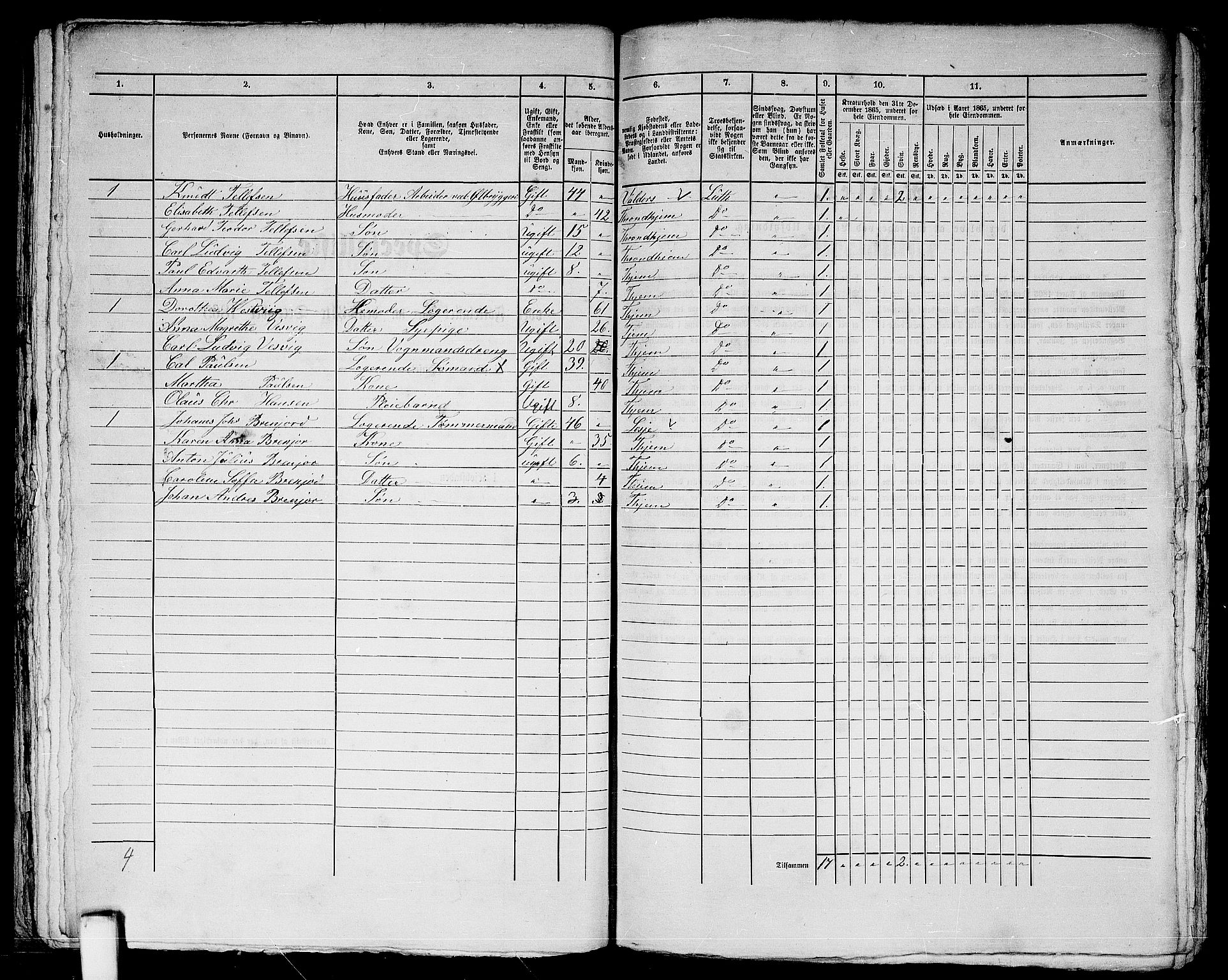 RA, 1865 census for Trondheim, 1865, p. 782