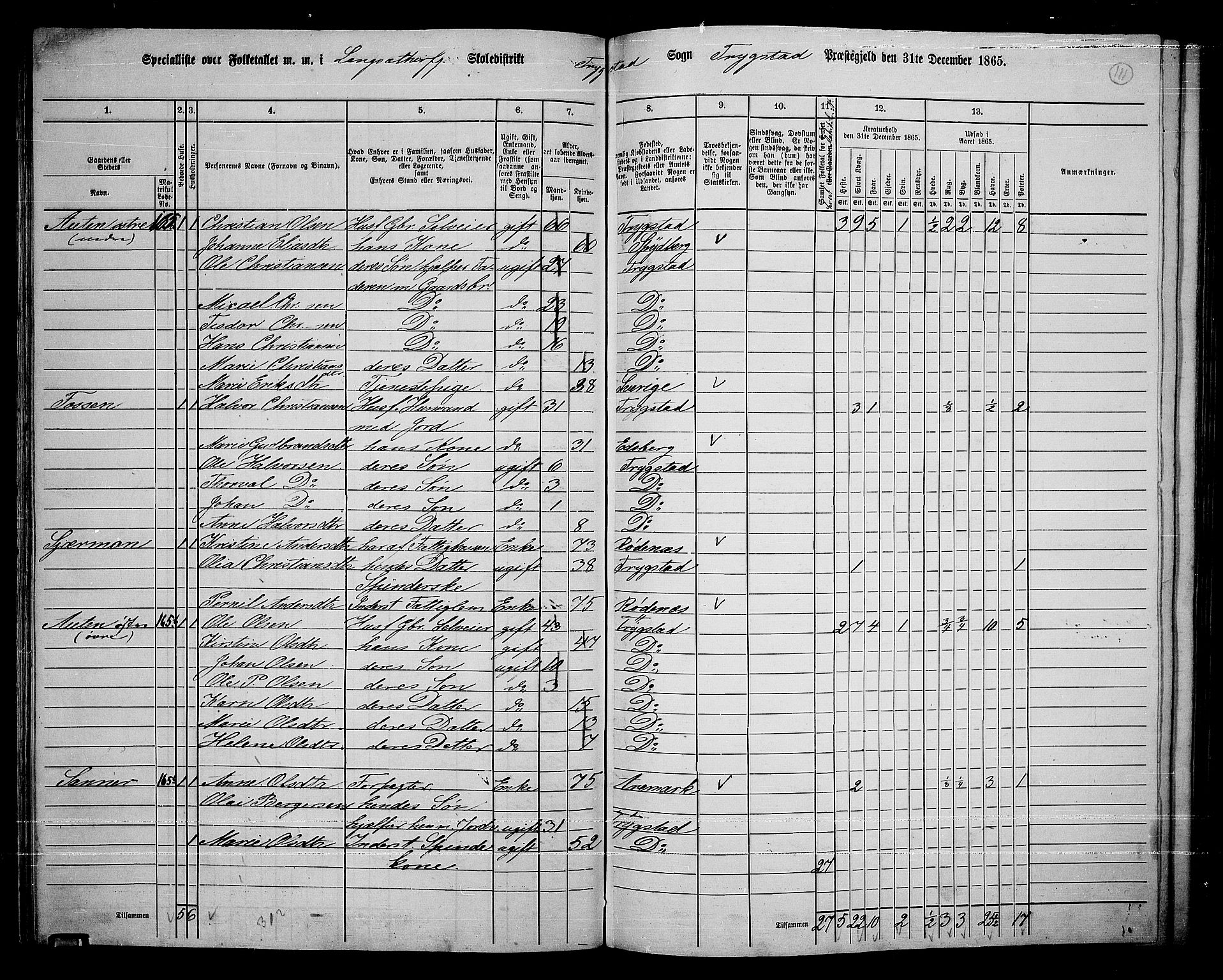 RA, 1865 census for Trøgstad, 1865, p. 95