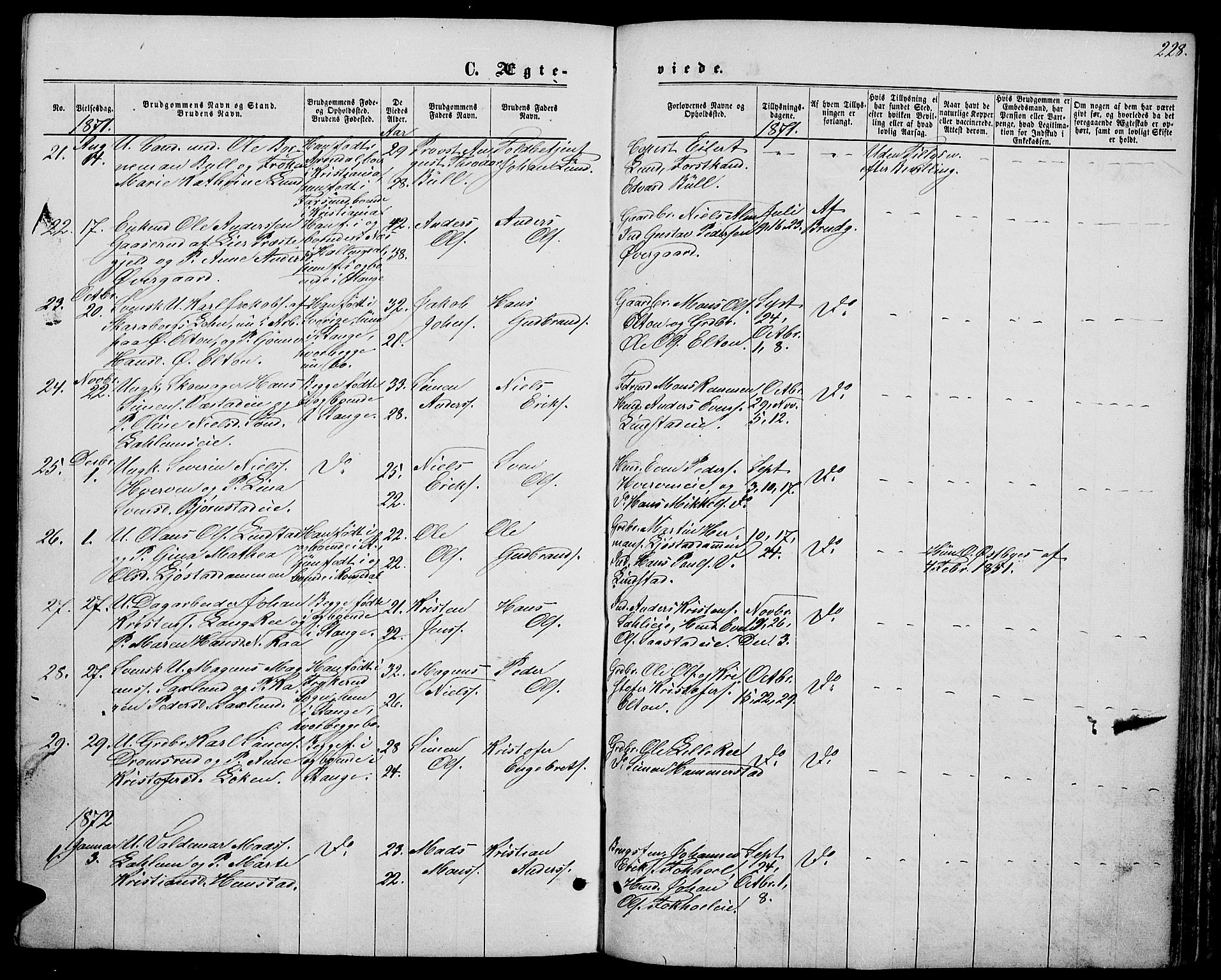Stange prestekontor, SAH/PREST-002/L/L0006: Parish register (copy) no. 6, 1864-1882, p. 228