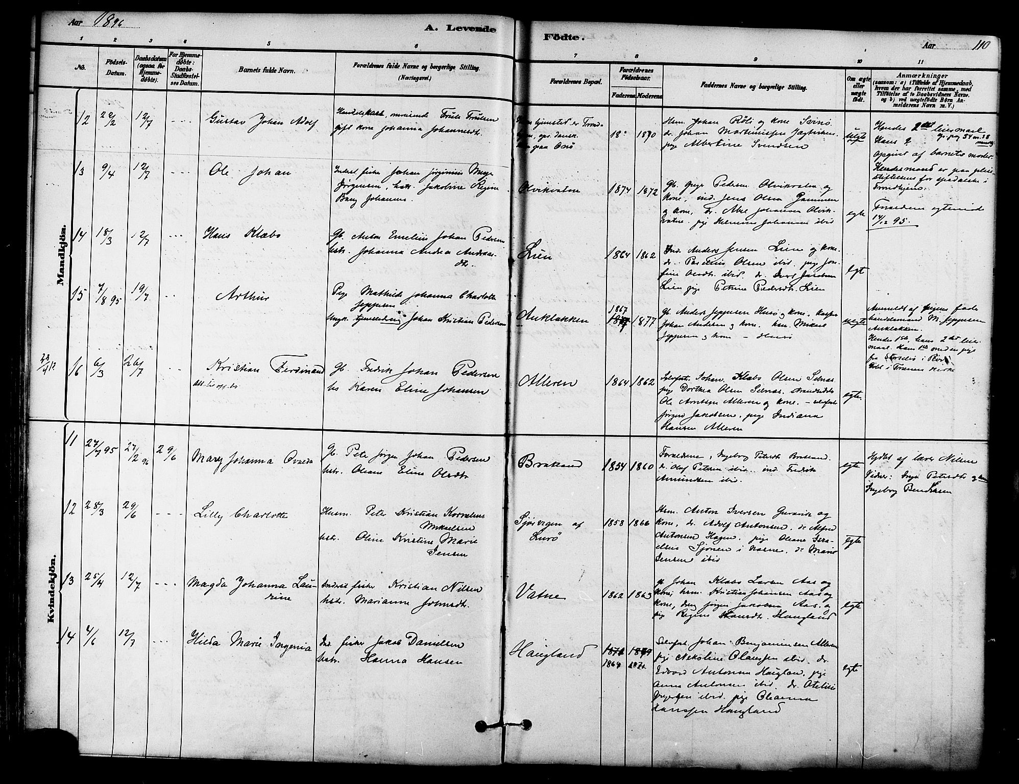 Ministerialprotokoller, klokkerbøker og fødselsregistre - Nordland, AV/SAT-A-1459/839/L0568: Parish register (official) no. 839A05, 1880-1902, p. 110