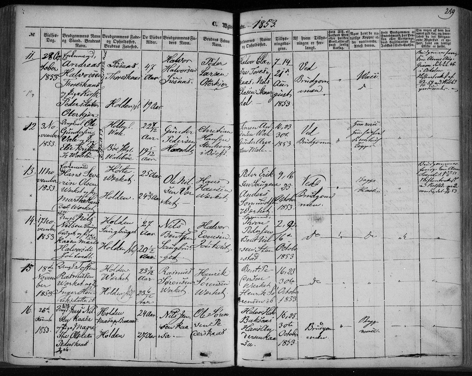 Holla kirkebøker, AV/SAKO-A-272/F/Fa/L0005: Parish register (official) no. 5, 1849-1860, p. 259