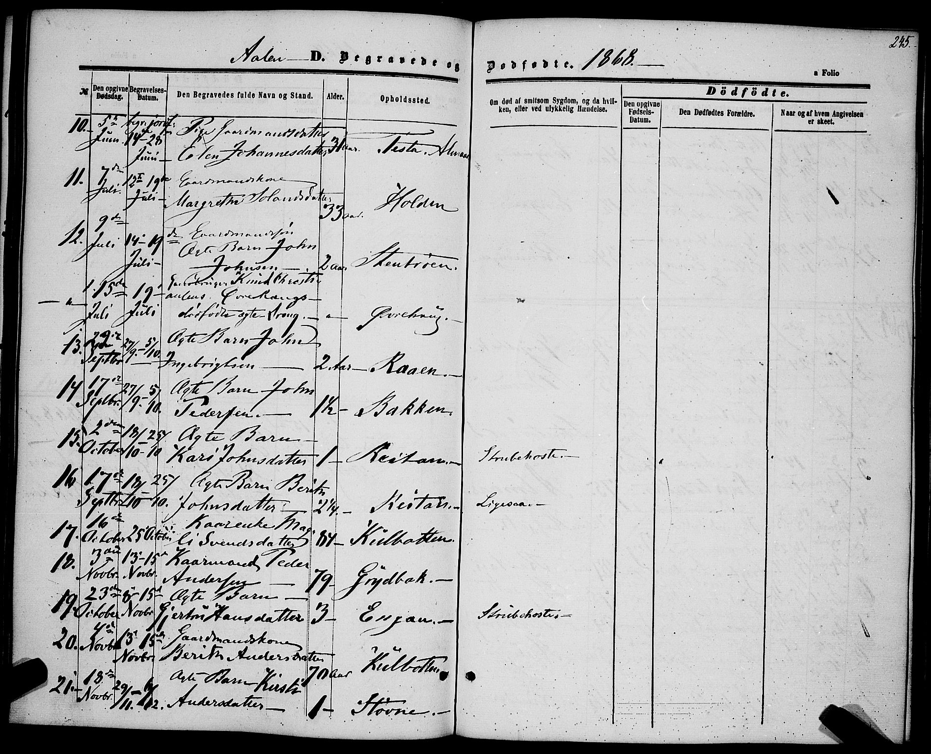 Ministerialprotokoller, klokkerbøker og fødselsregistre - Sør-Trøndelag, SAT/A-1456/685/L0968: Parish register (official) no. 685A07 /3, 1860-1869, p. 245