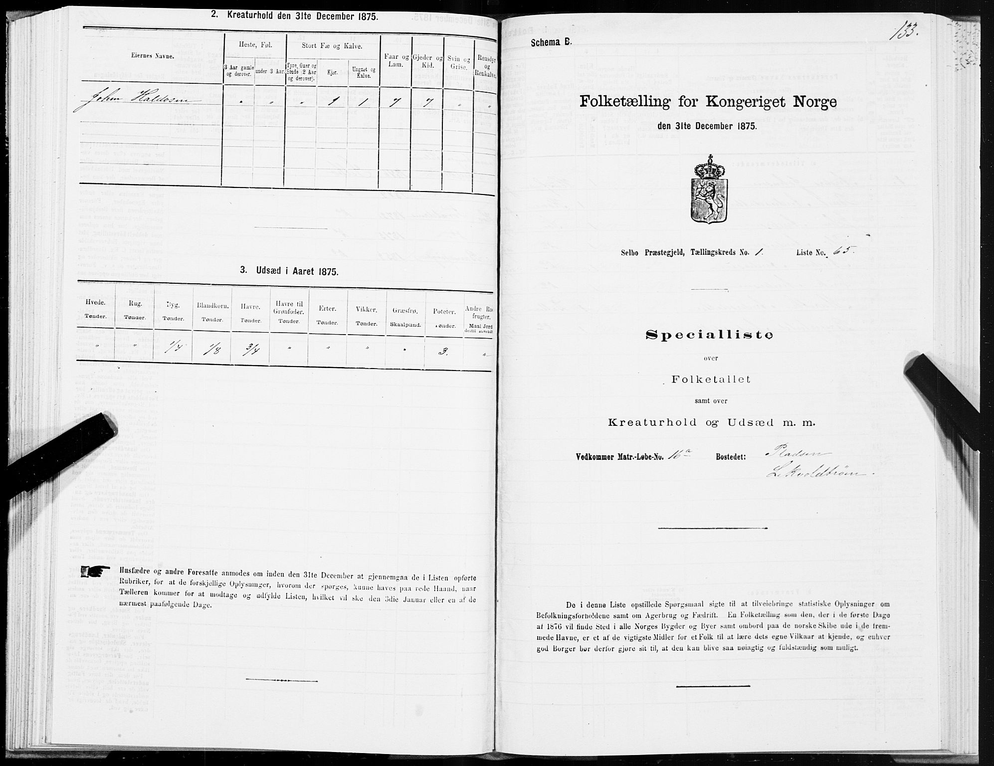 SAT, 1875 census for 1664P Selbu, 1875, p. 1133