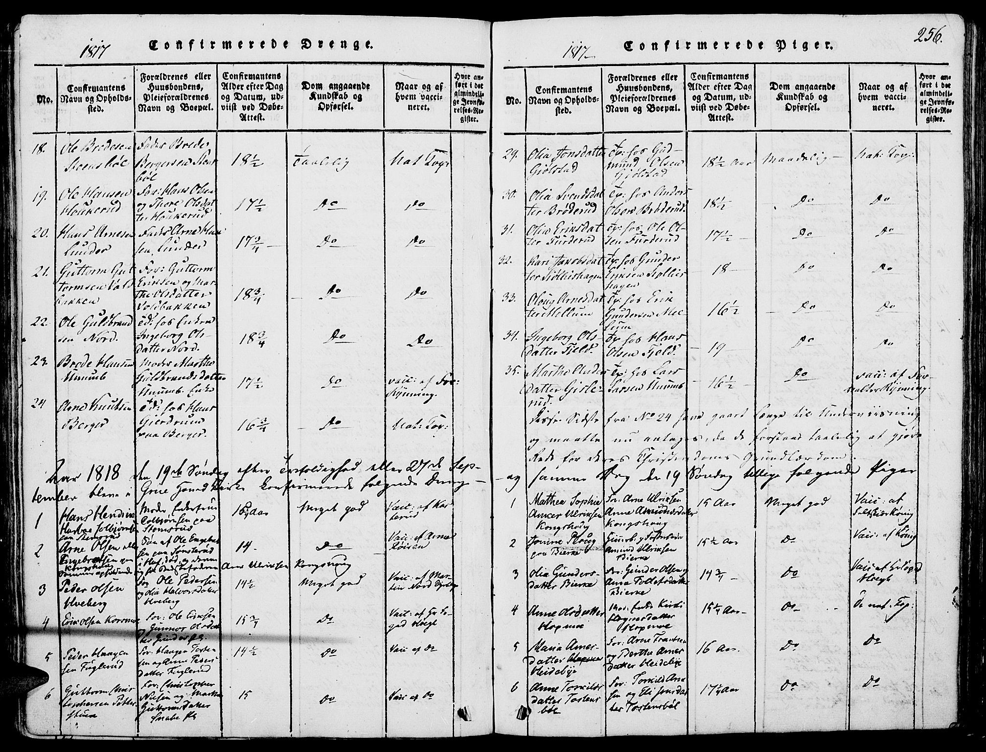 Grue prestekontor, AV/SAH-PREST-036/H/Ha/Haa/L0006: Parish register (official) no. 6, 1814-1830, p. 256